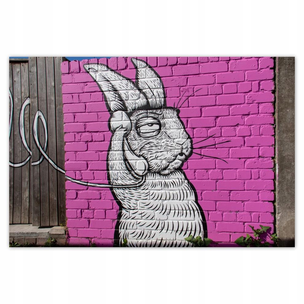 

Plakaty 60x40 Graffiti Sztuka uliczna