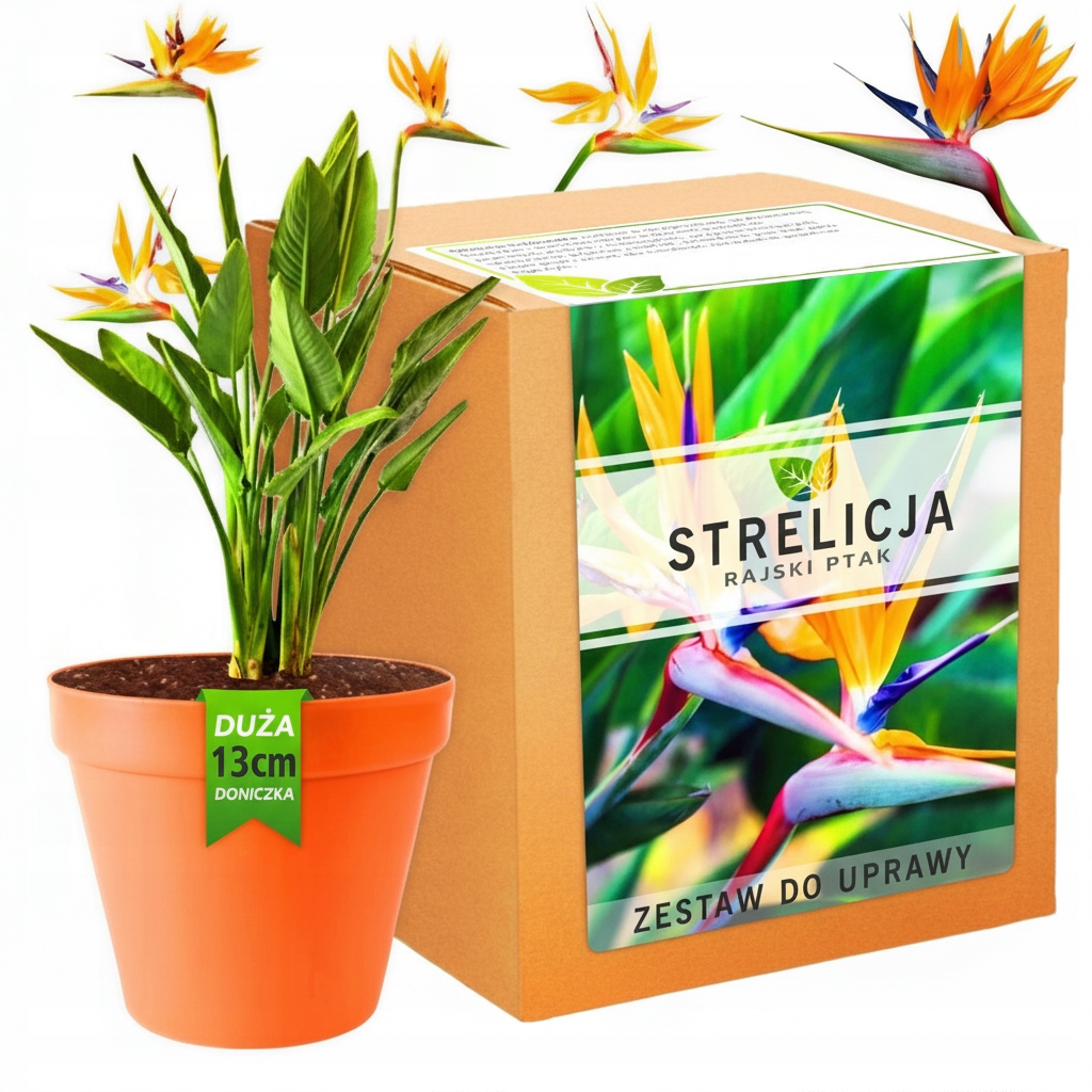 Набор для выращивания растений Стрелиция королевская семена Райская Птица