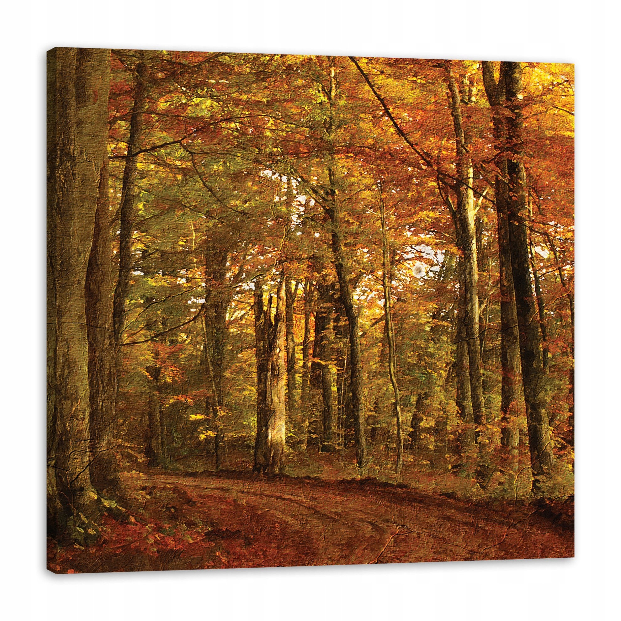 Obraz na plátně Pastelový styl Stromy Les na podzim 80x80 cm