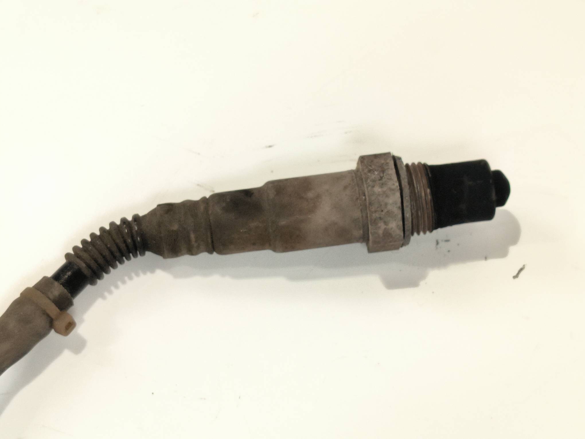 SONDA 06F906262E SEAT TOLEDO III