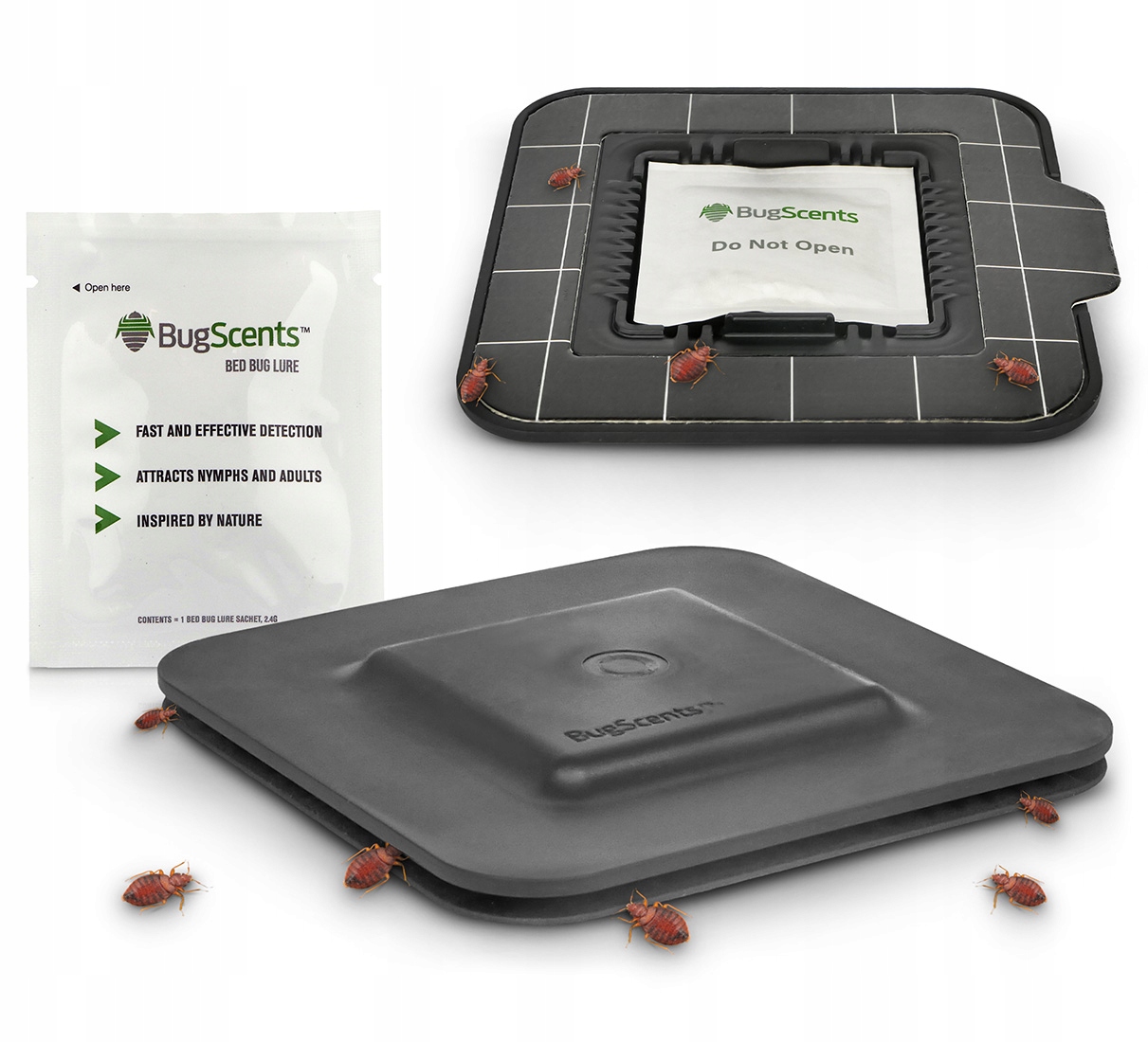 Silná Past Lepová Deska Na Štěnice Účinná Nástraha Diskrétní Design Bugscents