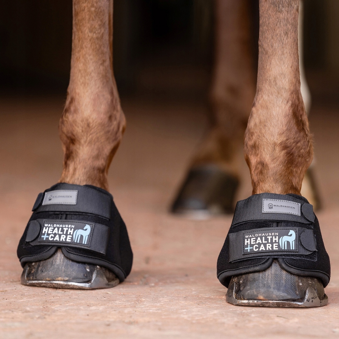 Chladící kalošky pro koně Health Care Waldhausen XL.