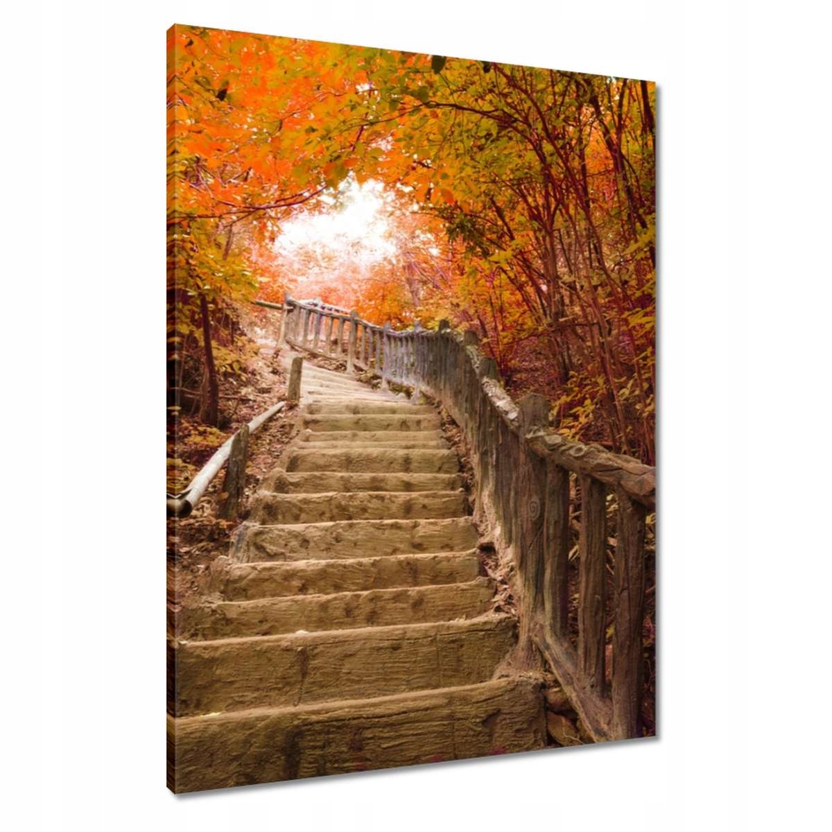 Obrazy 60x80 Podzimní procházka Schody