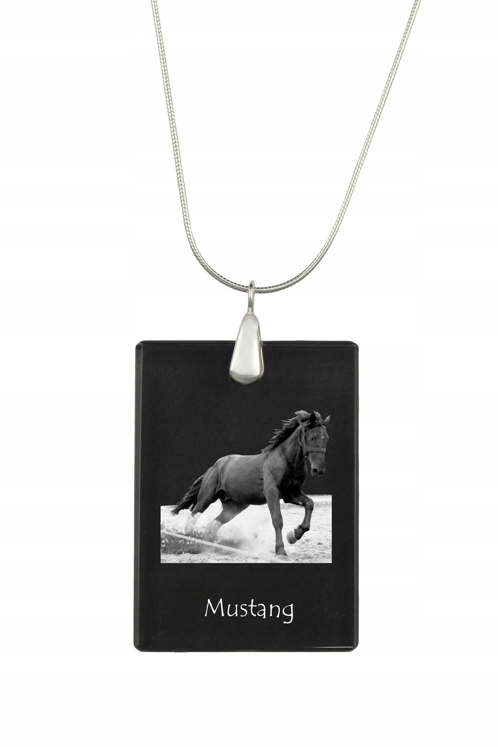 Mustang stříbrný náhrdelník s křišťálovým přívěskem a koněm s fotografií