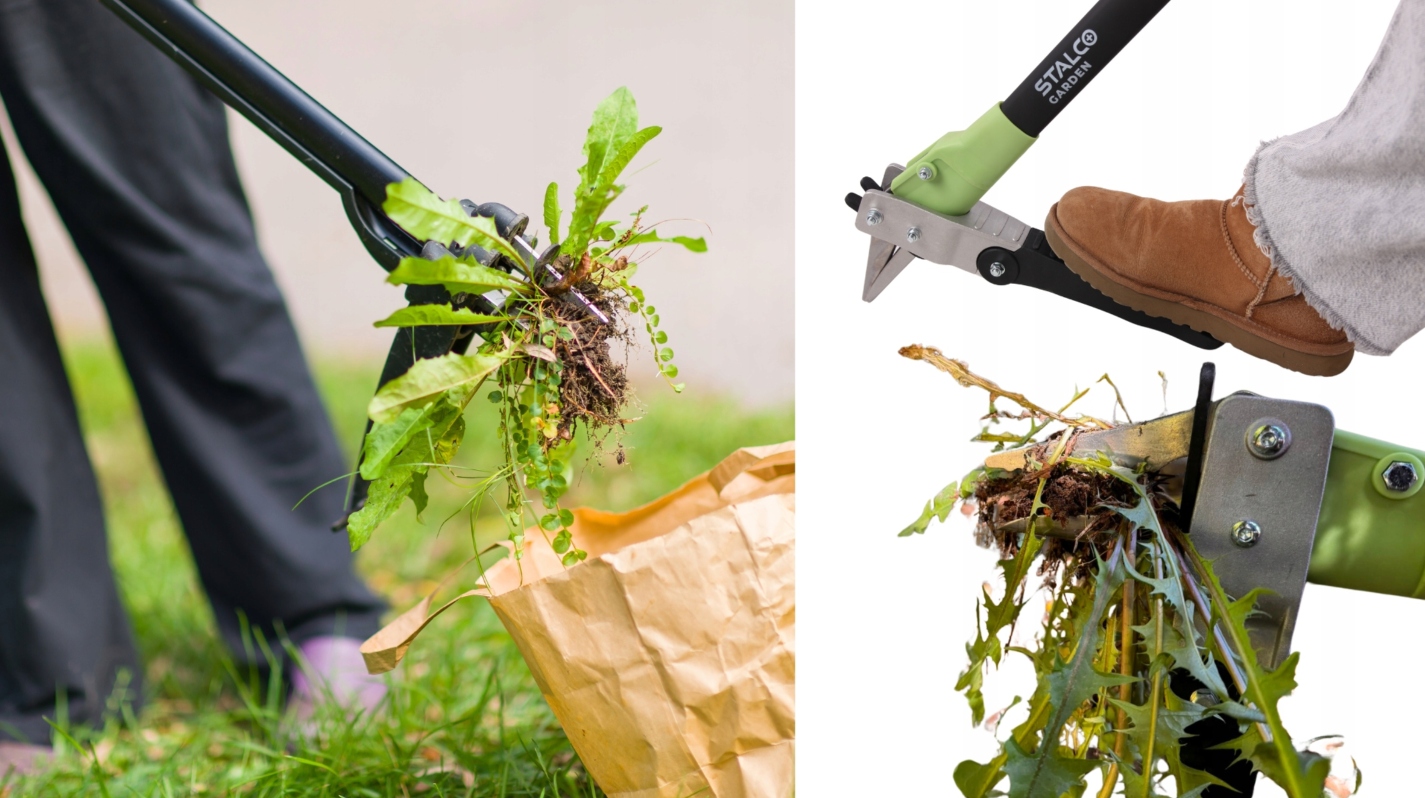 WYRYWACZ DO CHWASTÓW WYCINAK OGRODOWY RĘCZNY MOCNY STALCO Marka Stalco
