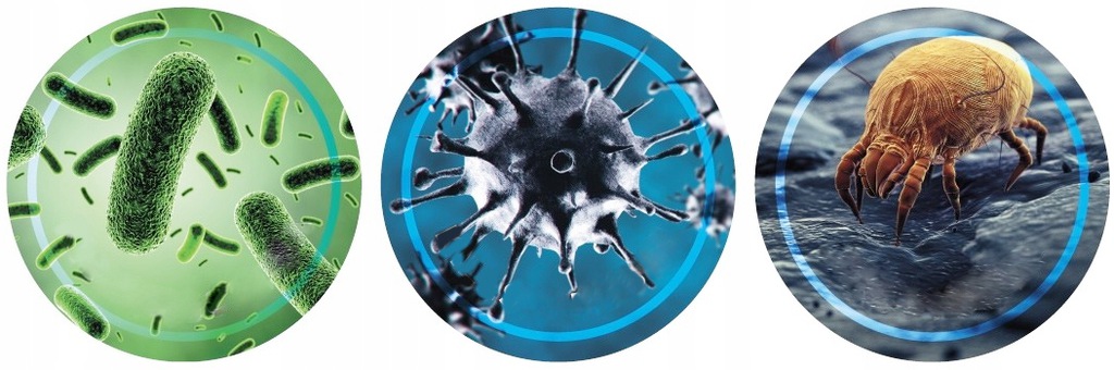 STERYLIZUJĄCA LAMPA UVC DO SAMOCHODU DOMU OZON Maksymalna wydajność 3 m³/h