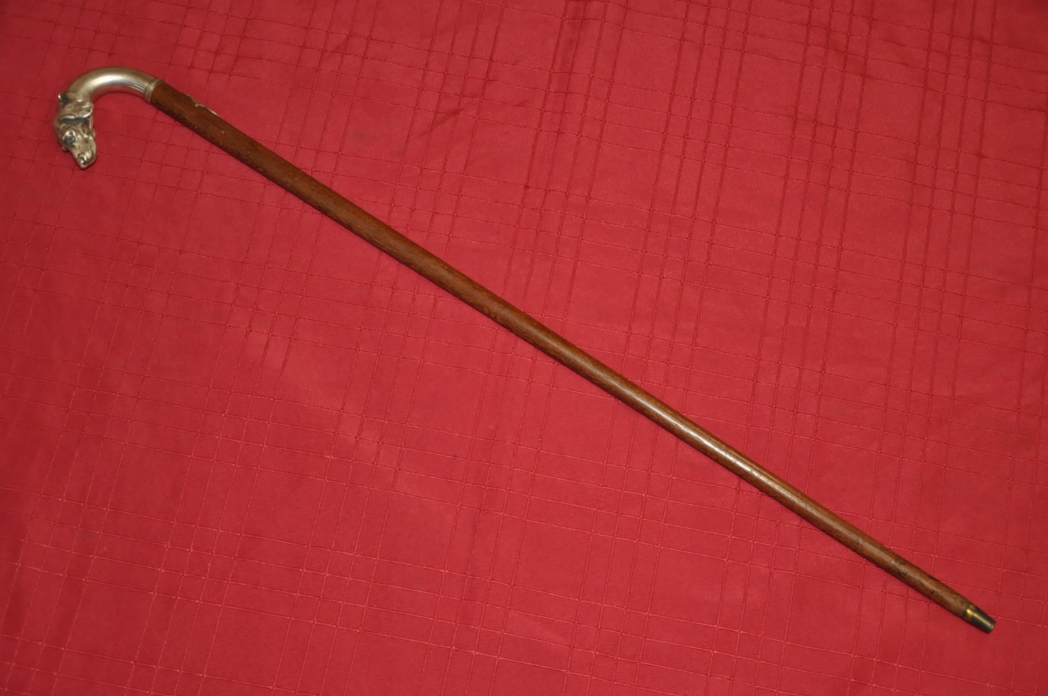 srebrna laska spacerowa-pies