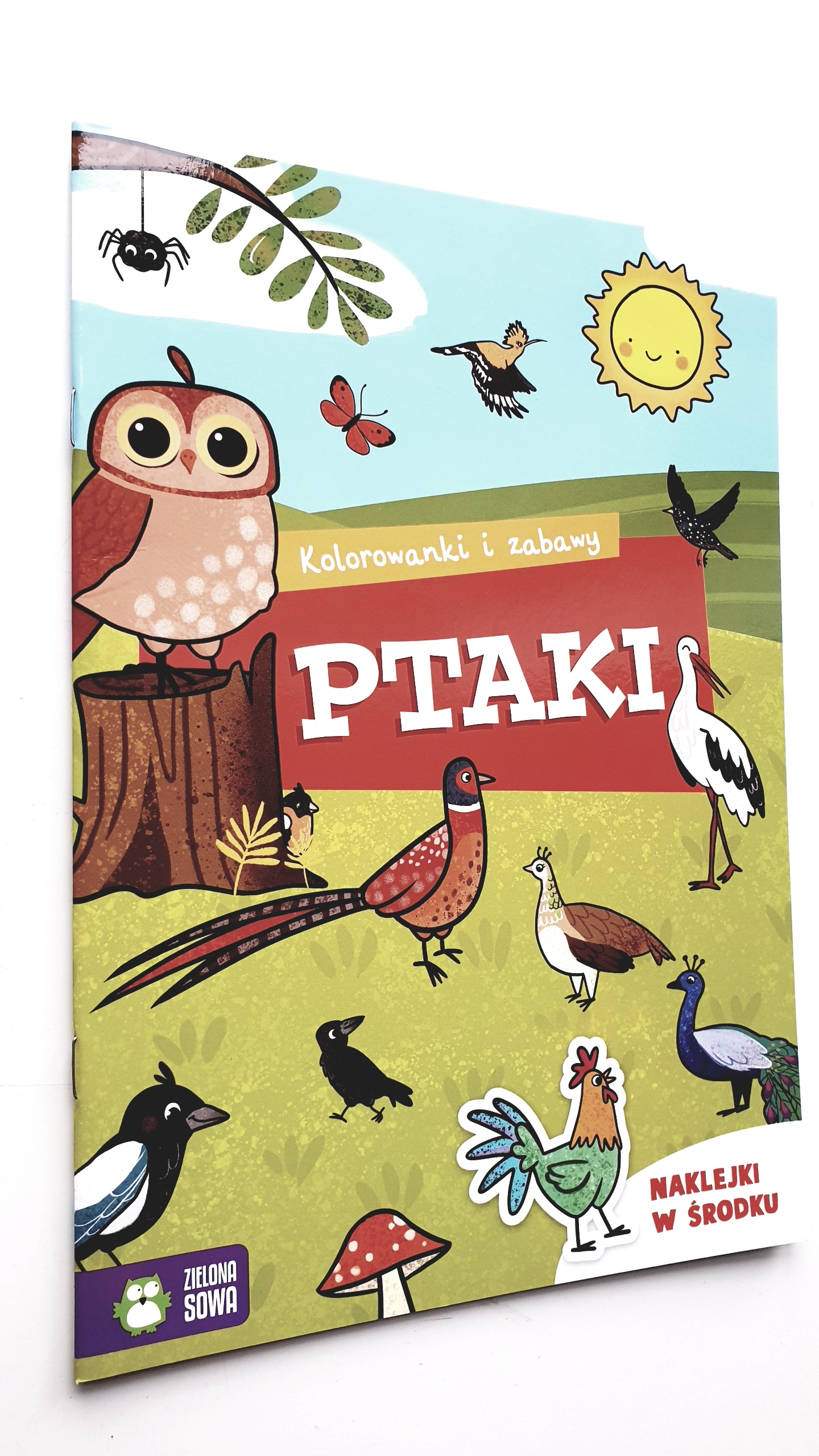 Kolorowanki i zabawy Ptaki-Zdjęcie-0