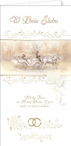 

Karki ślubne na ślub Prezent Pamiątka ślubna DSL2