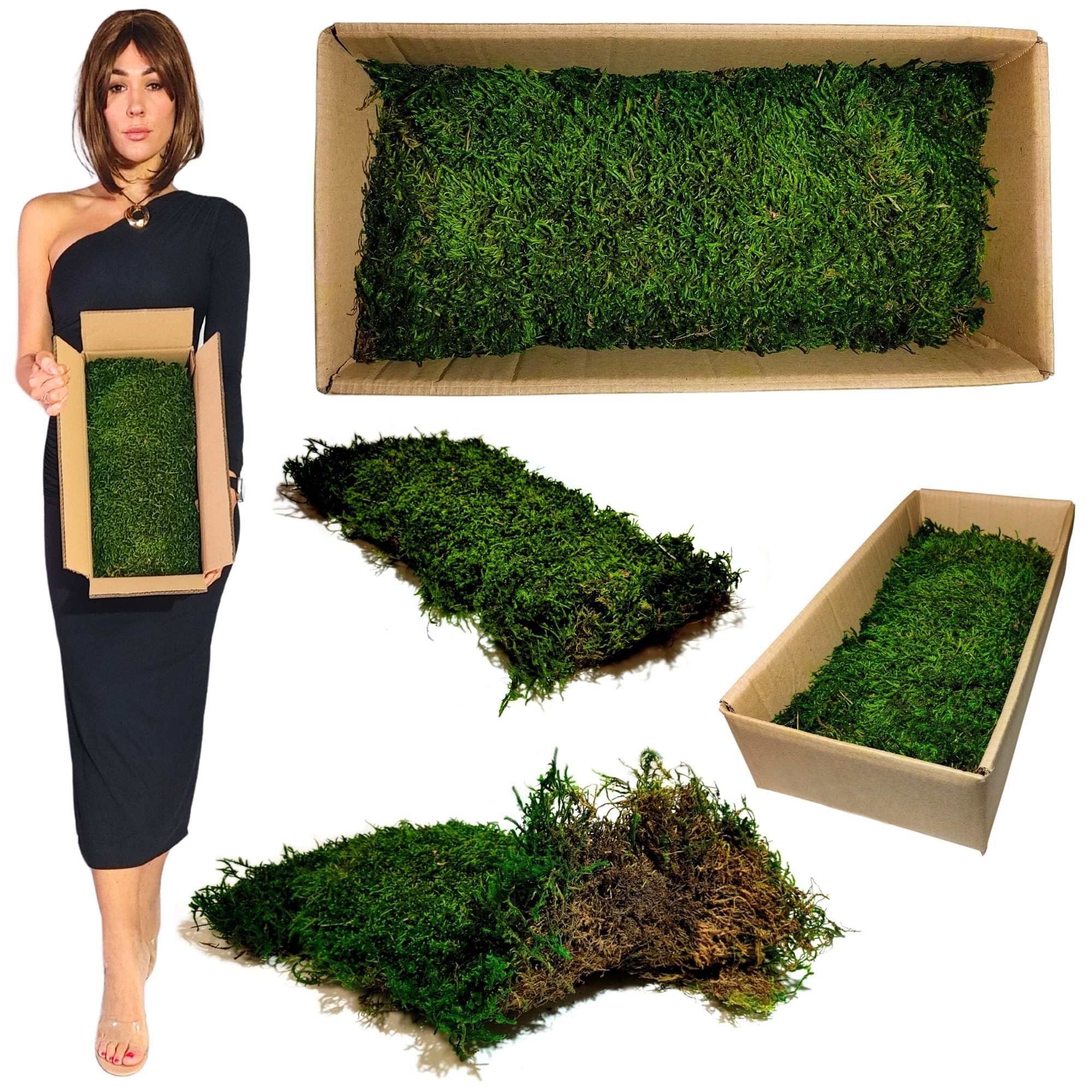 Mech Plochý střední zelený 200g čistý Dekorativní živý ozdobný Premium