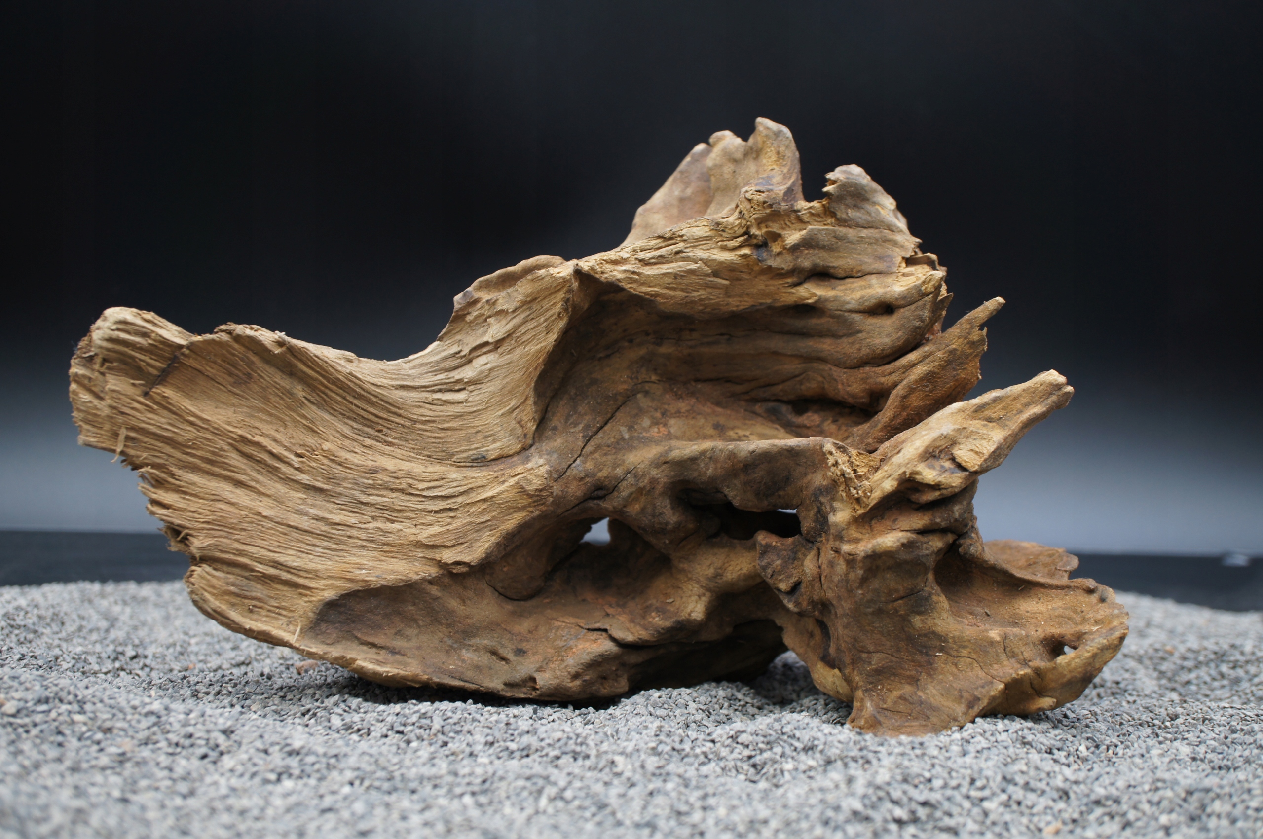 Kořen pro terarijní akvárium jagged wood 20 cm – Přesně Jako Na Obrázku (J83)