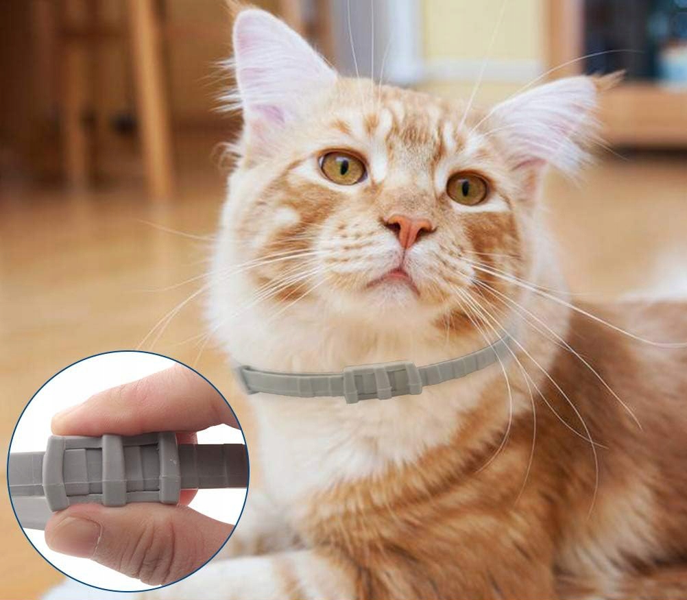 4x Obojek Pro Kočky Malého Psa Na Blechy Klíšťata Univerzální Koanni