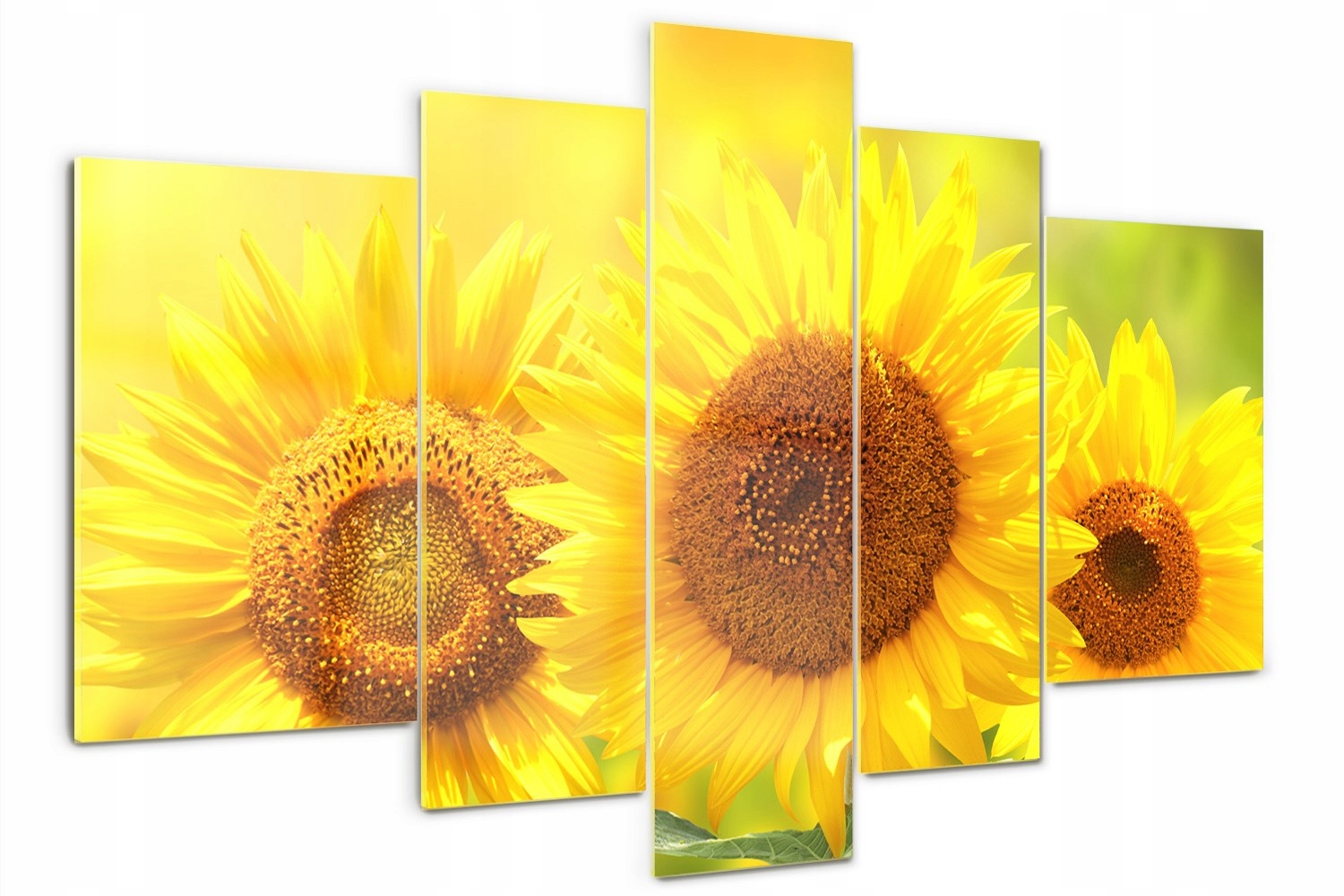 

Foto Obraz szklany duży tryptyk Słoneczniki