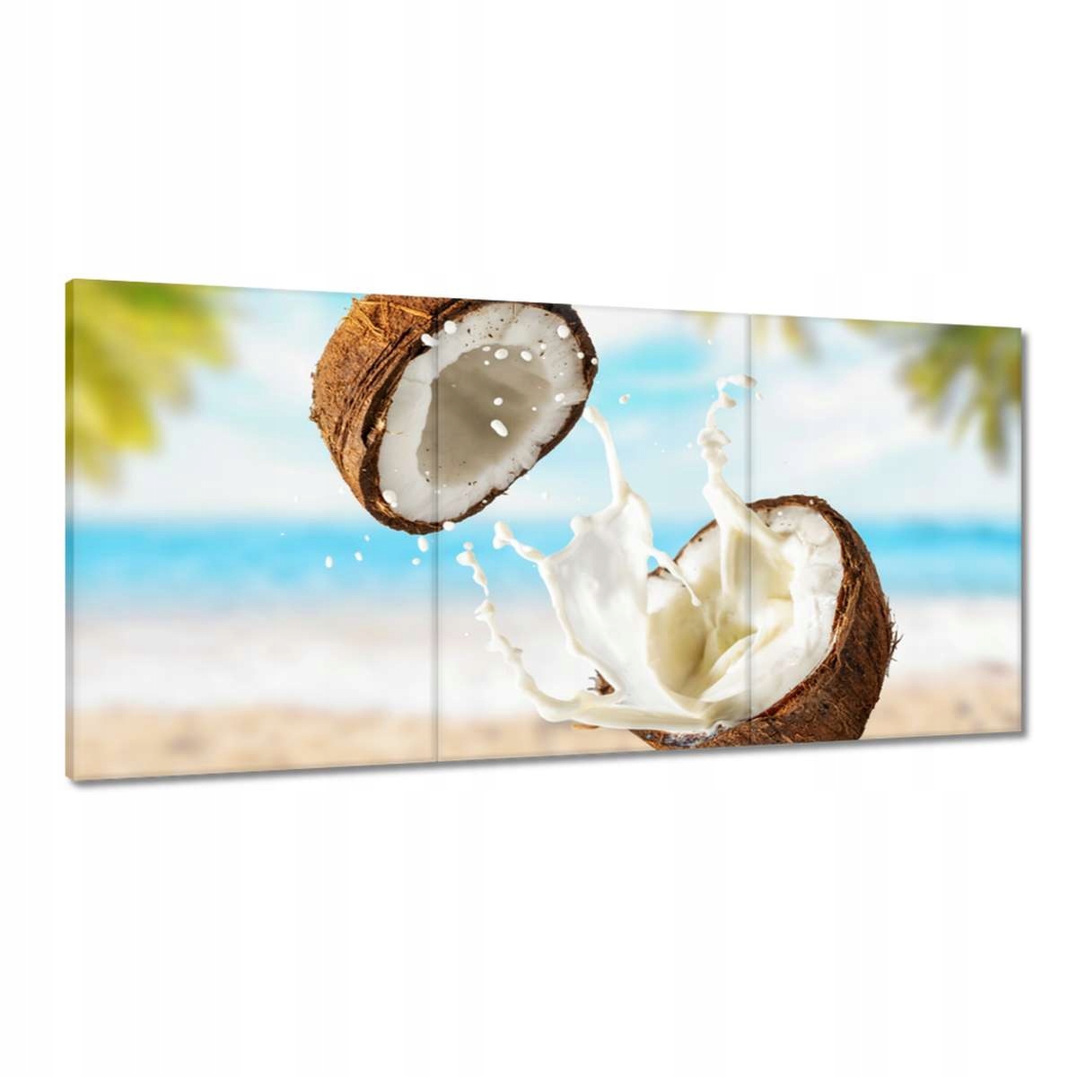 Obrazy 180x90 Kokosové mlieko Kokosy