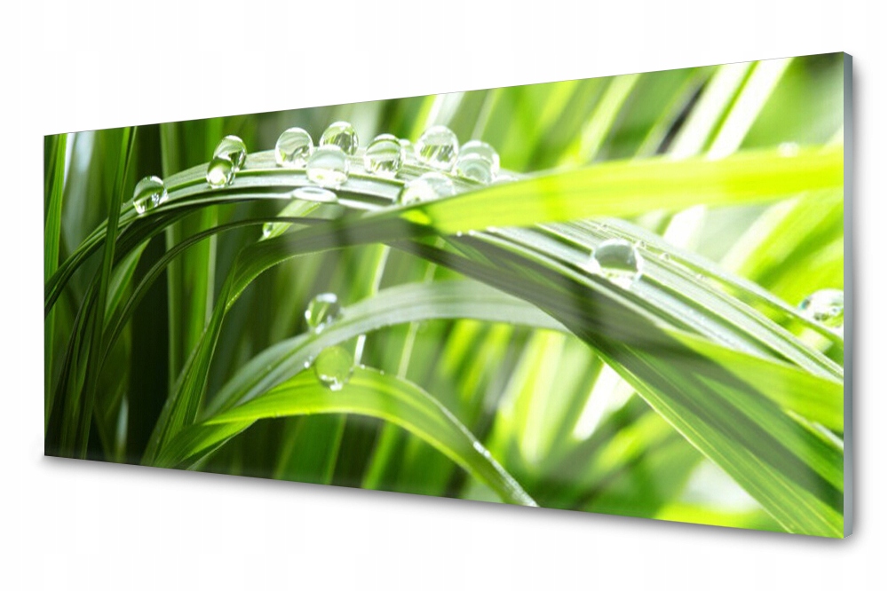

Panel szklany do kuchni Trawa Woda Krople 125x50