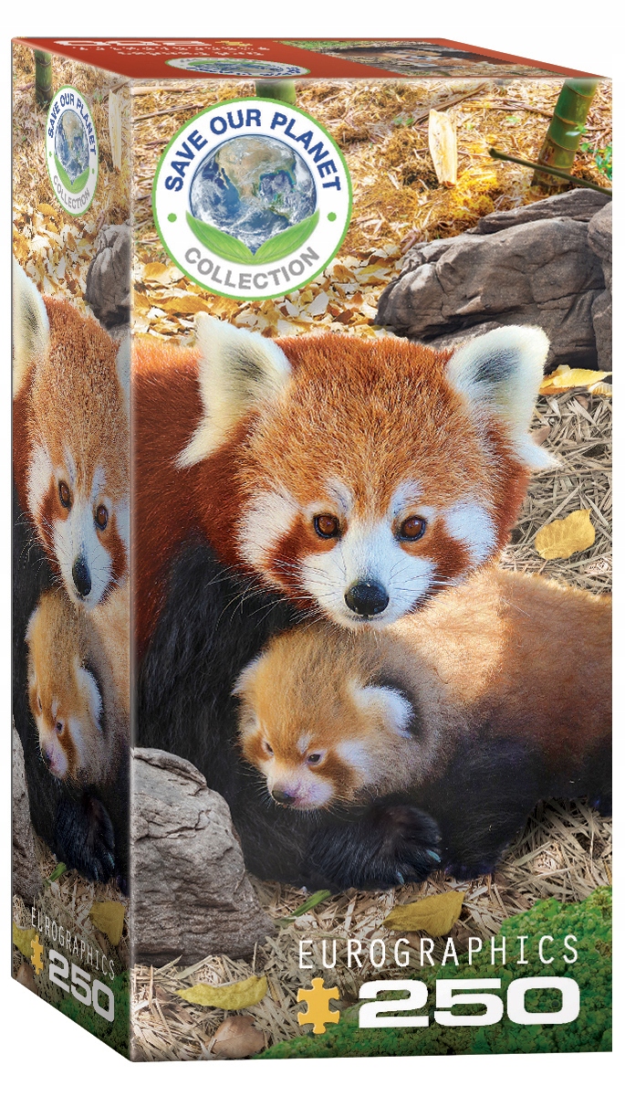PUZZLE 250 RED PANDAS 8251-5557