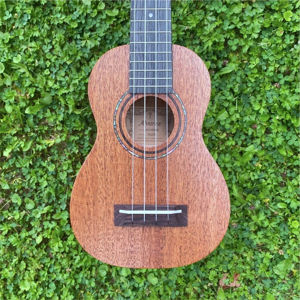 Alvarez RU22S ukulele sopránové