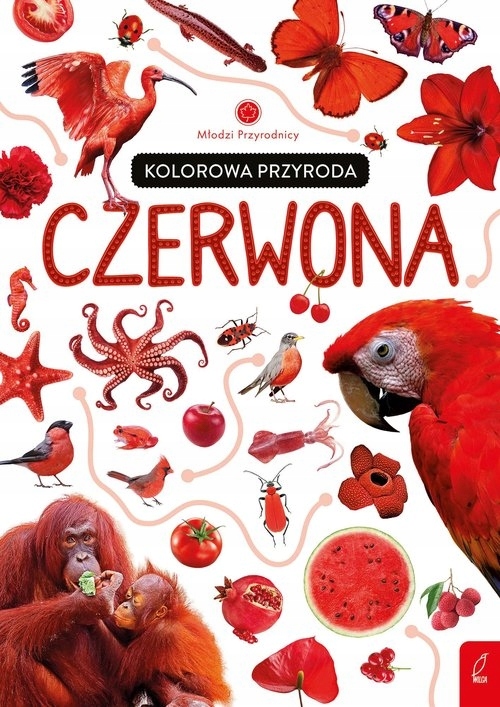 Młodzi przyrodnicy Kolorowa przyroda Czerwona Patrycja Zarawska