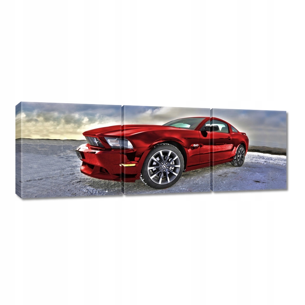 

Obrazy 120x40 Czerwony Mustang Śnieg