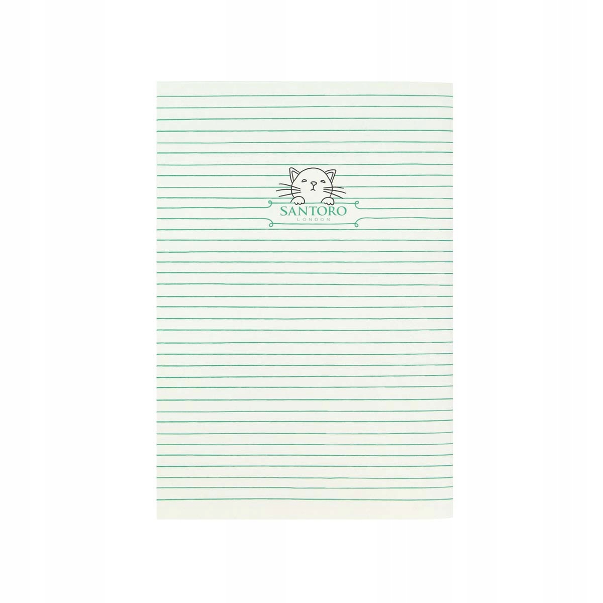 Mały zeszyt - koty - feline fine (green) Marka Santoro London