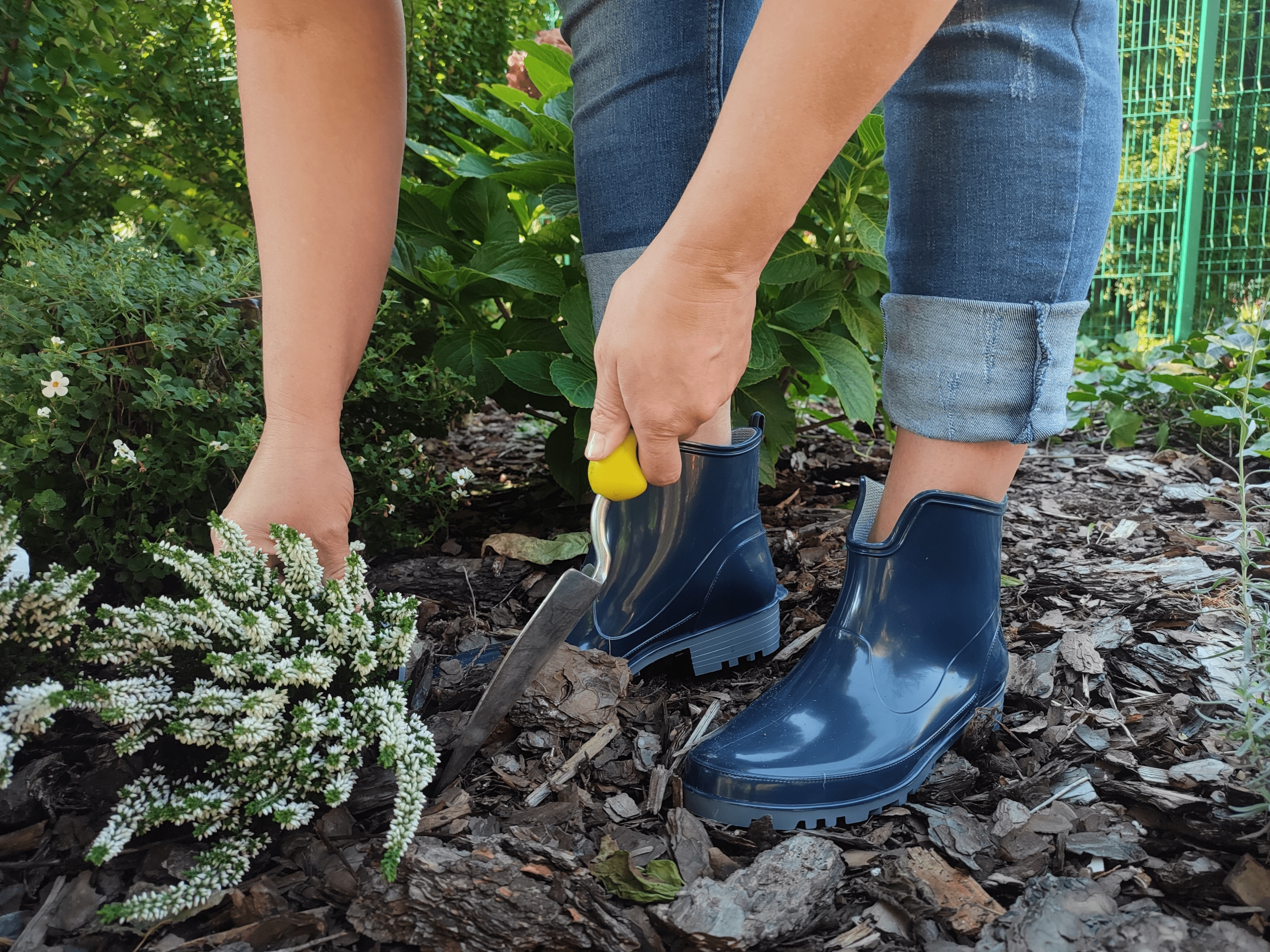KALOSZE DAMSKIE KRÓTKIE LEMIGO ELKE 37 Rozmiar 37