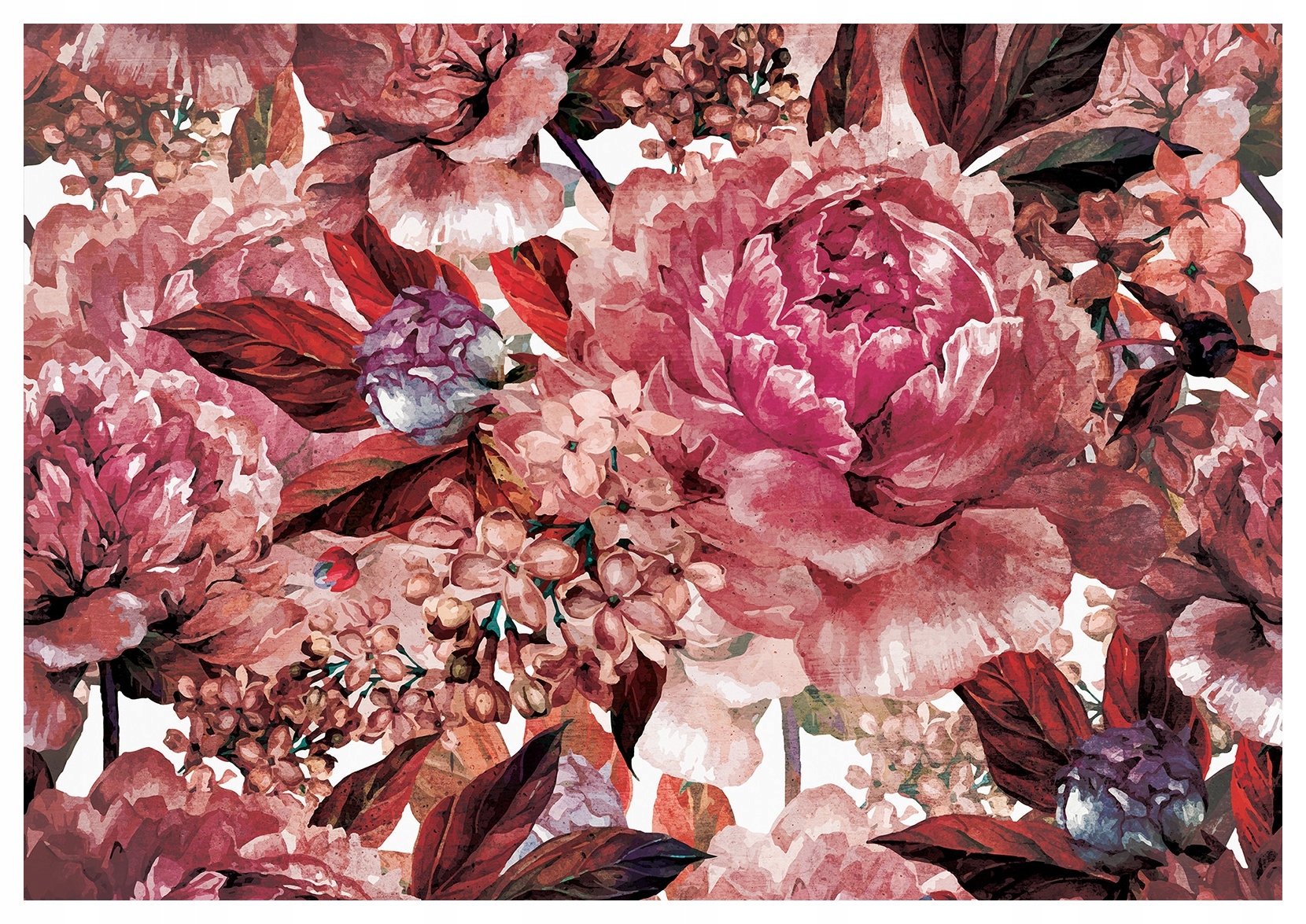 Fototapeta Pivonky Ruža Bordó Akvarel Vintage Kvety 368x254 vinylová lepidlo