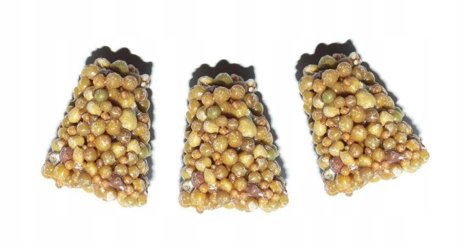 

Nawóz koreczki roślin balkonowych Substral 3x7,5g