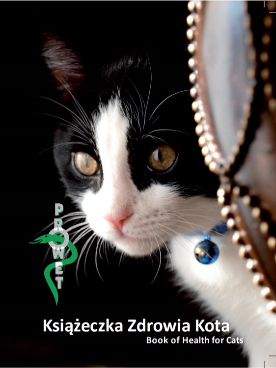 

Książeczka Zdrowia Kota Kot Czarny 1 sztuka