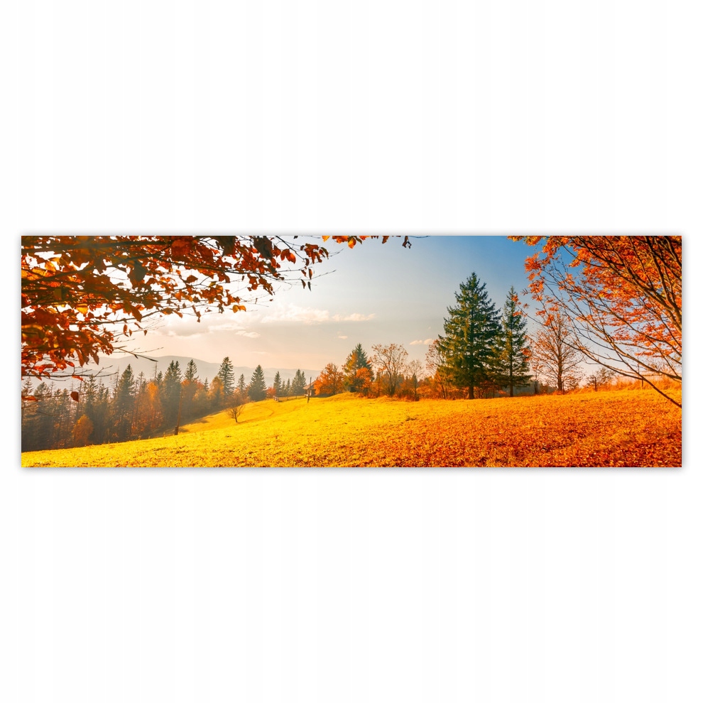 

Fototapety flizelina 624x219 Jesienny krajobraz
