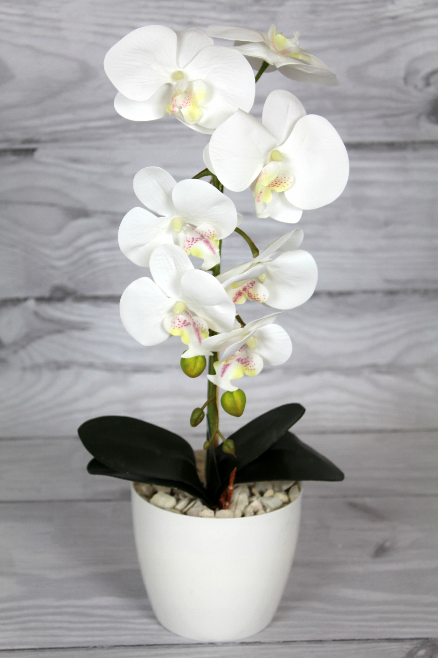 STORCZYK SZTUCZNY ORCHIDEA KWIATY SILIKONOWY Marka inna