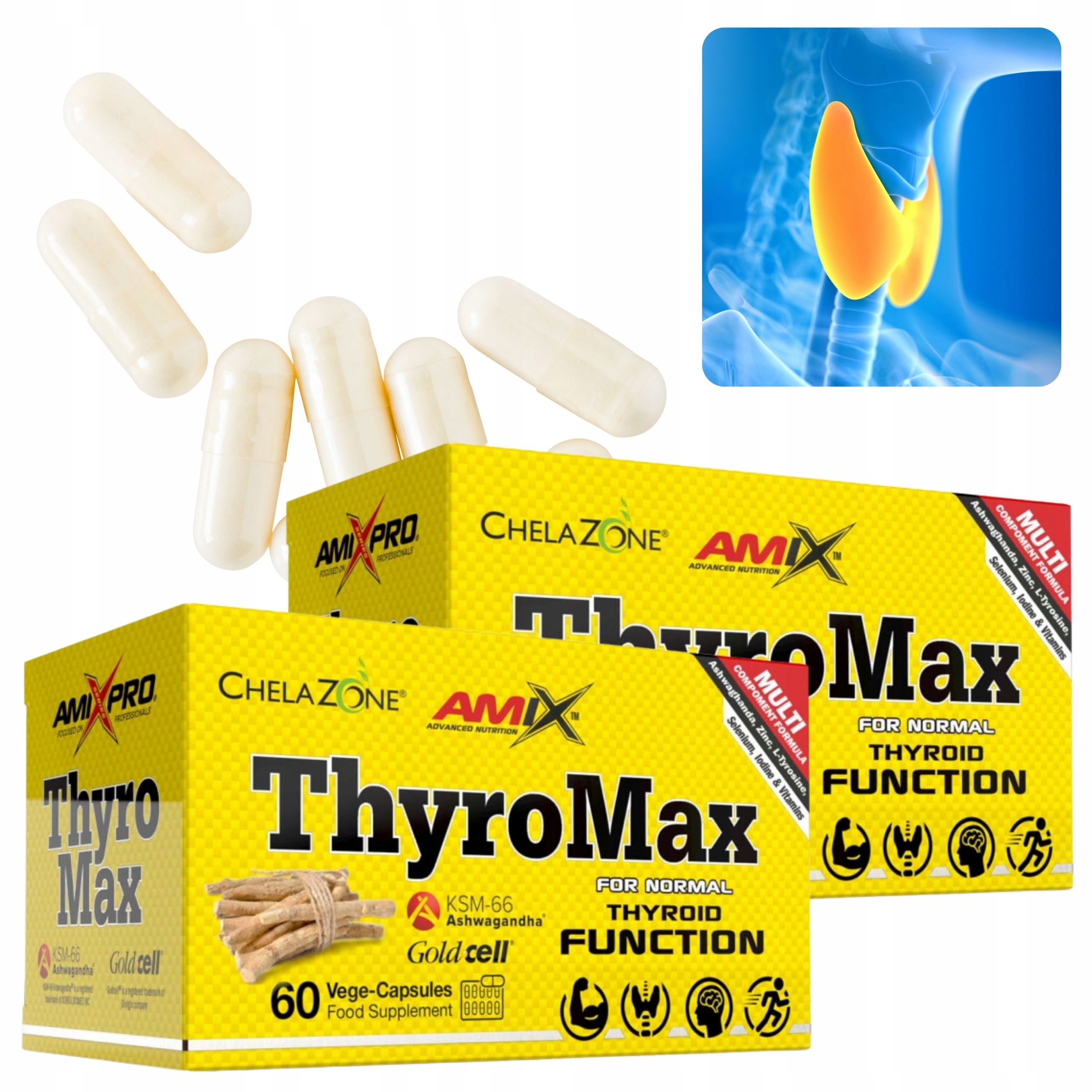 Ashwagandha Kořen Vitamín B1 B6 B12 Jód Zinek Selen Přírodní L-tyrosin