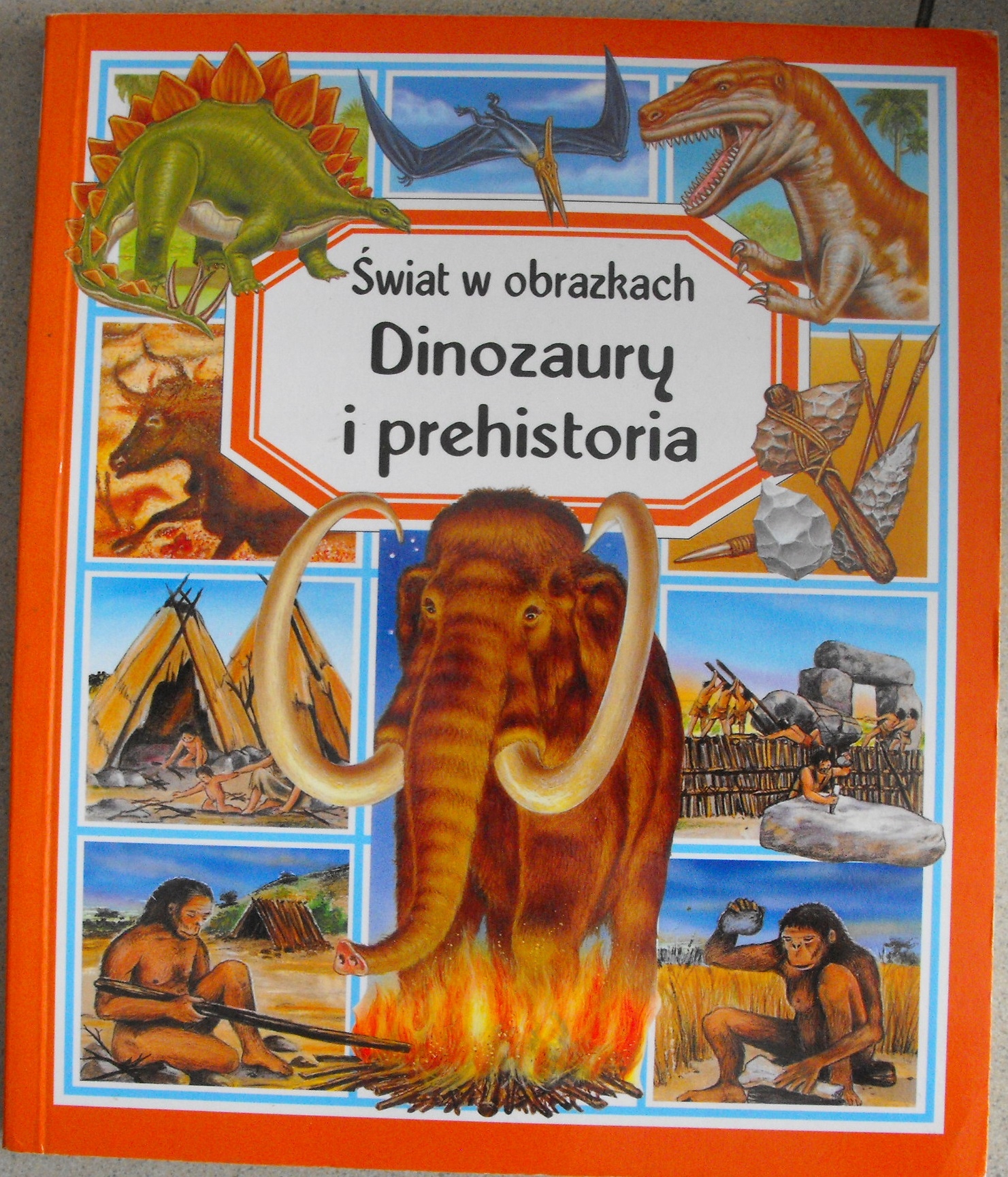 Świat w obrazkach Dinozaury i prehistoria ŁADNA