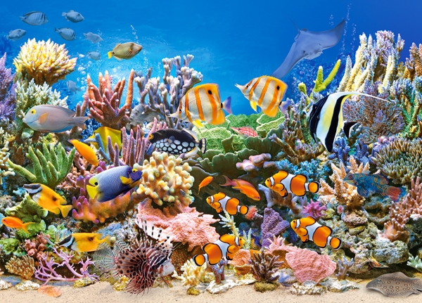 

Puzzle Zwierzęta Rybki Rafa Koralowa 260 El Castor