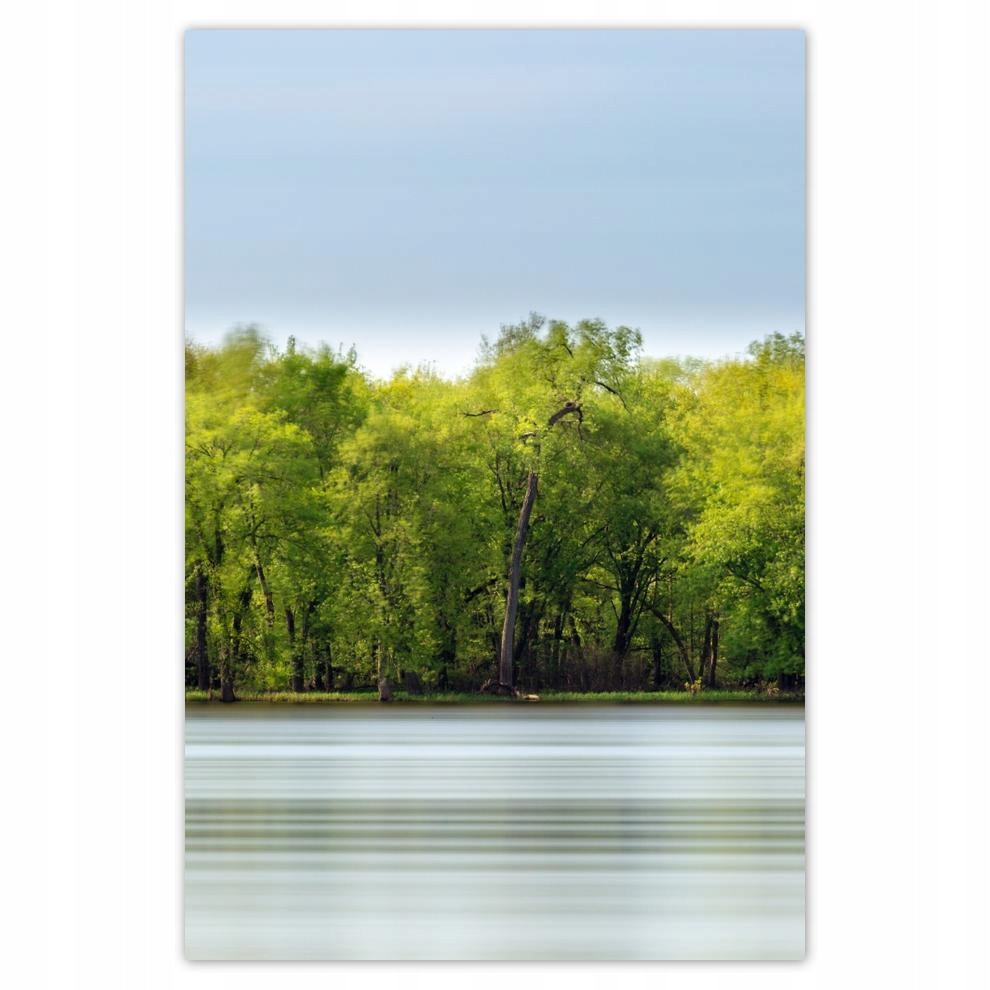 

Plakat 62x93 Las Jezioro Niebo