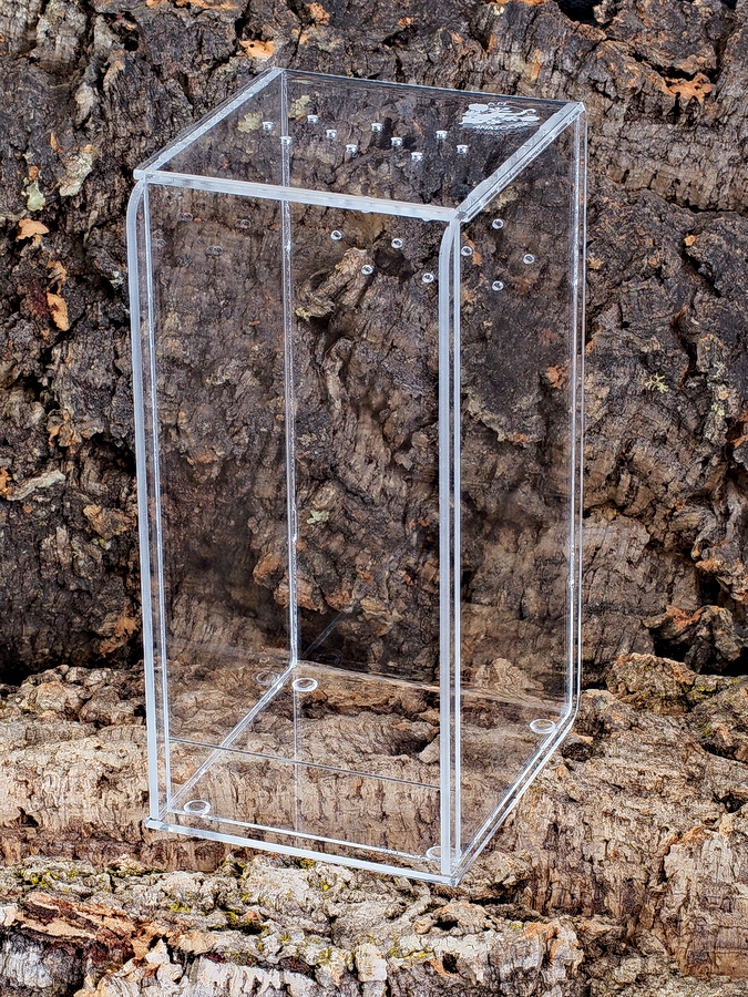 

Terrarium pleksiglas, nie akryl 10x10x20 cm pająk