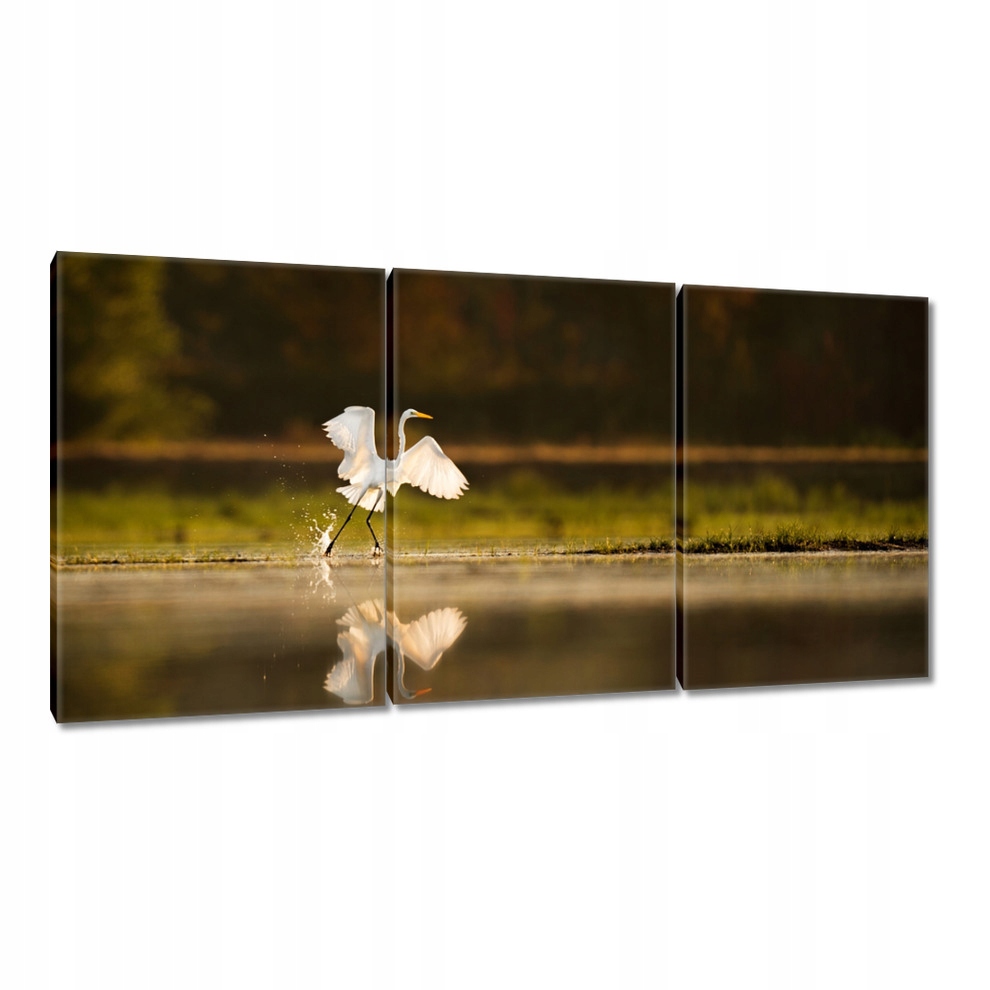 

Obrazy 120x60 Ptaki Ptaszki Ptactwo