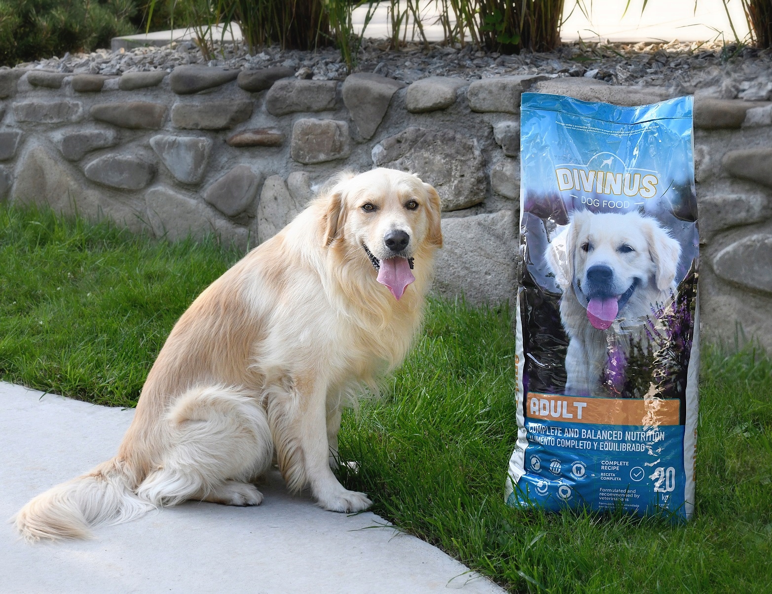 Divinus Adult dla OWCZARKA NIEMIECKIEGO 20kg Marka Divinus