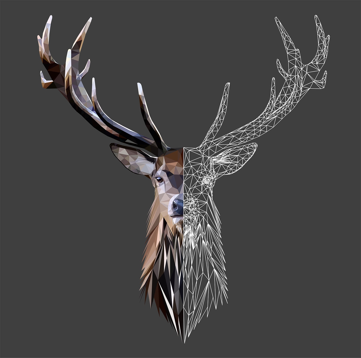 MAGNETYCZNA OSŁONA NA KALORYFER 60x60 JELEŃ FOTOTAPETA Materiał mata magnetyczna