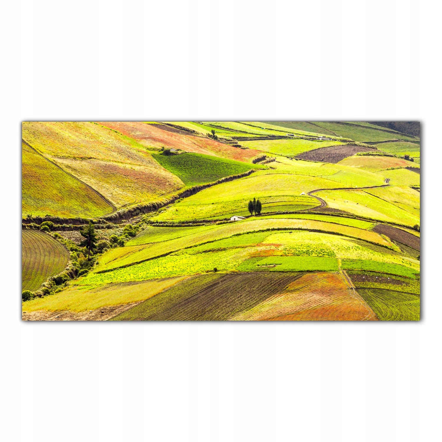 

Hartowany Obraz Szklany Pole Wieś Krajobraz 120x60