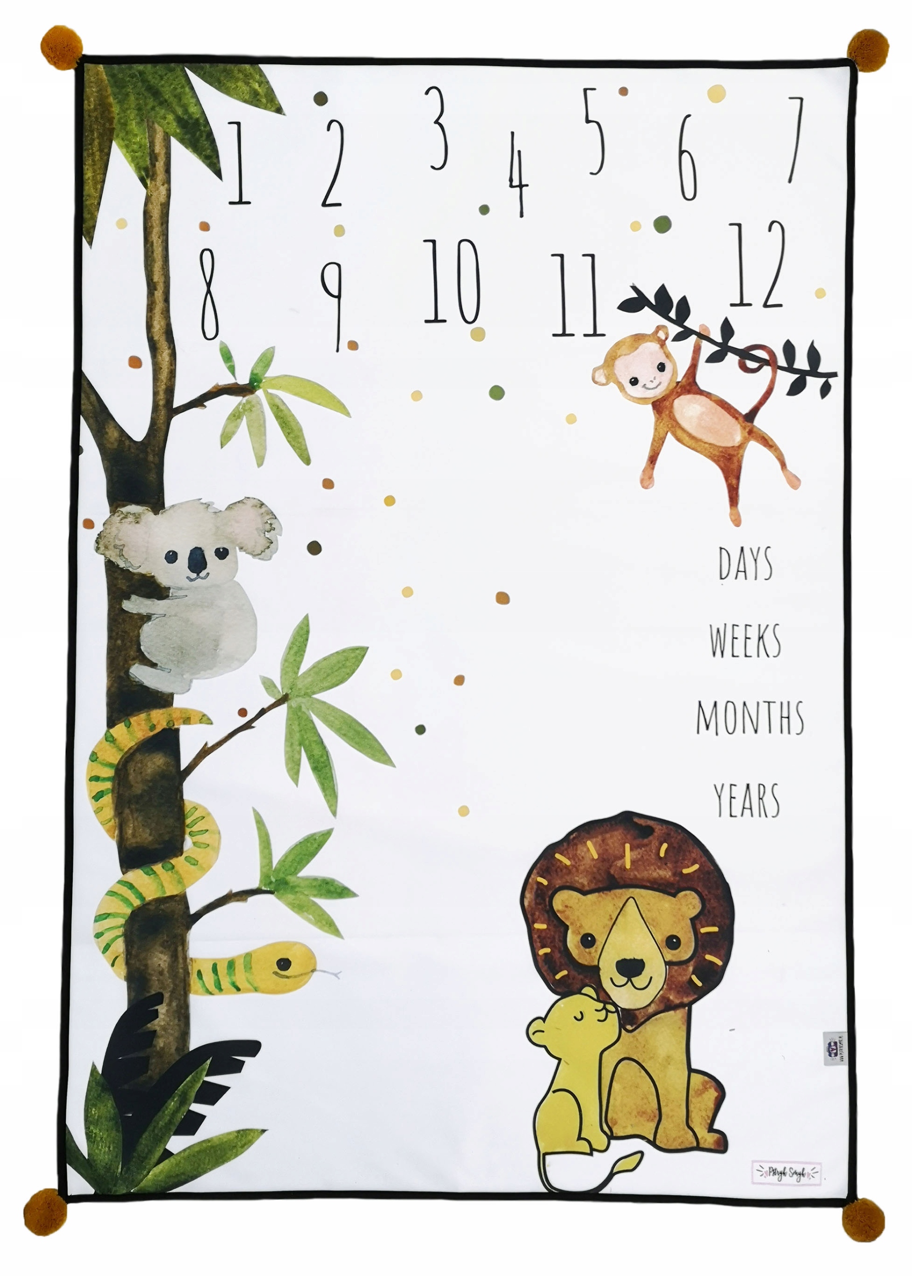 FOTO MATA ENGLISH VERSION tło do zdjęć