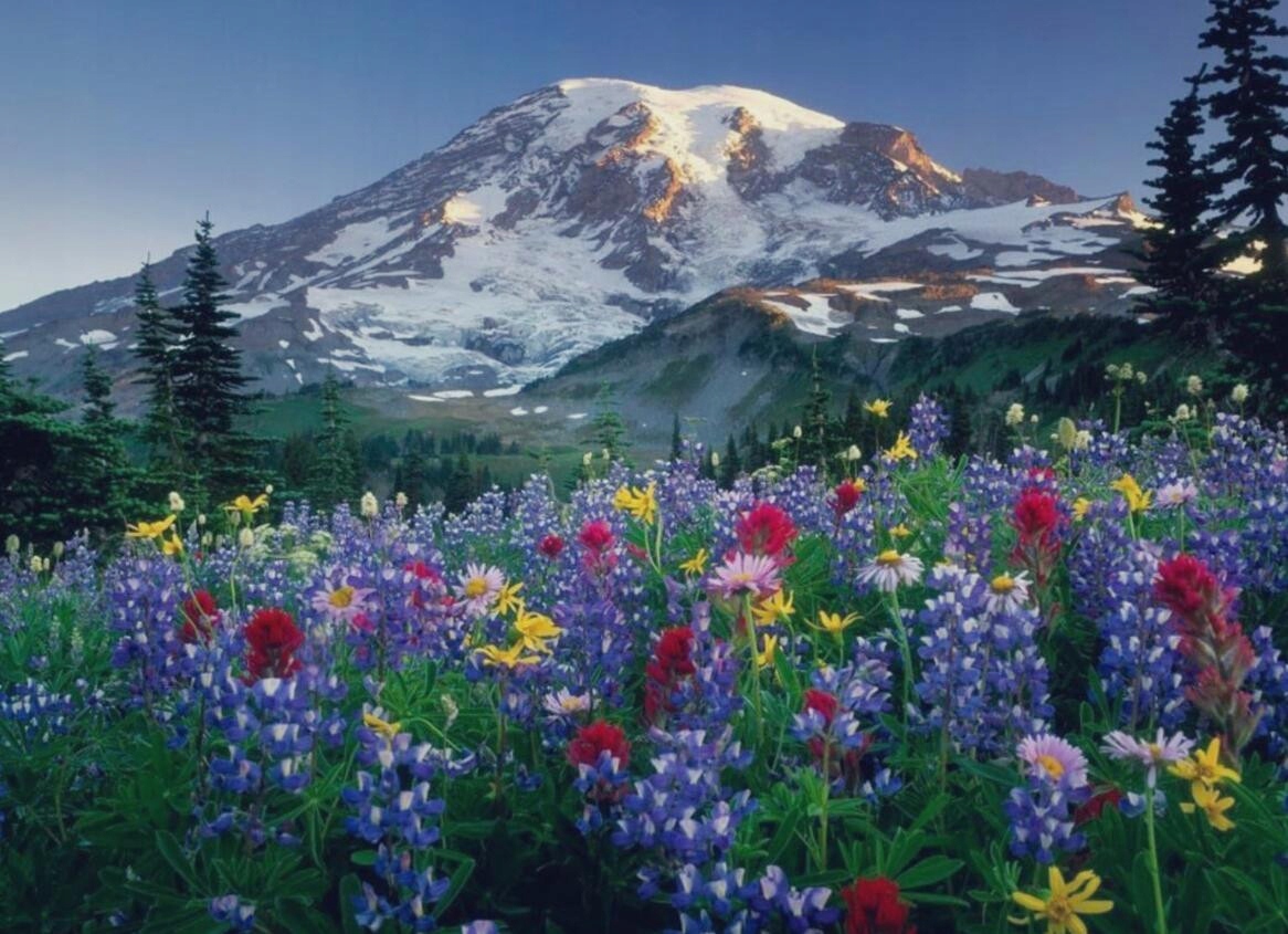 Mozaika diamantové malování, diamantová výšivka