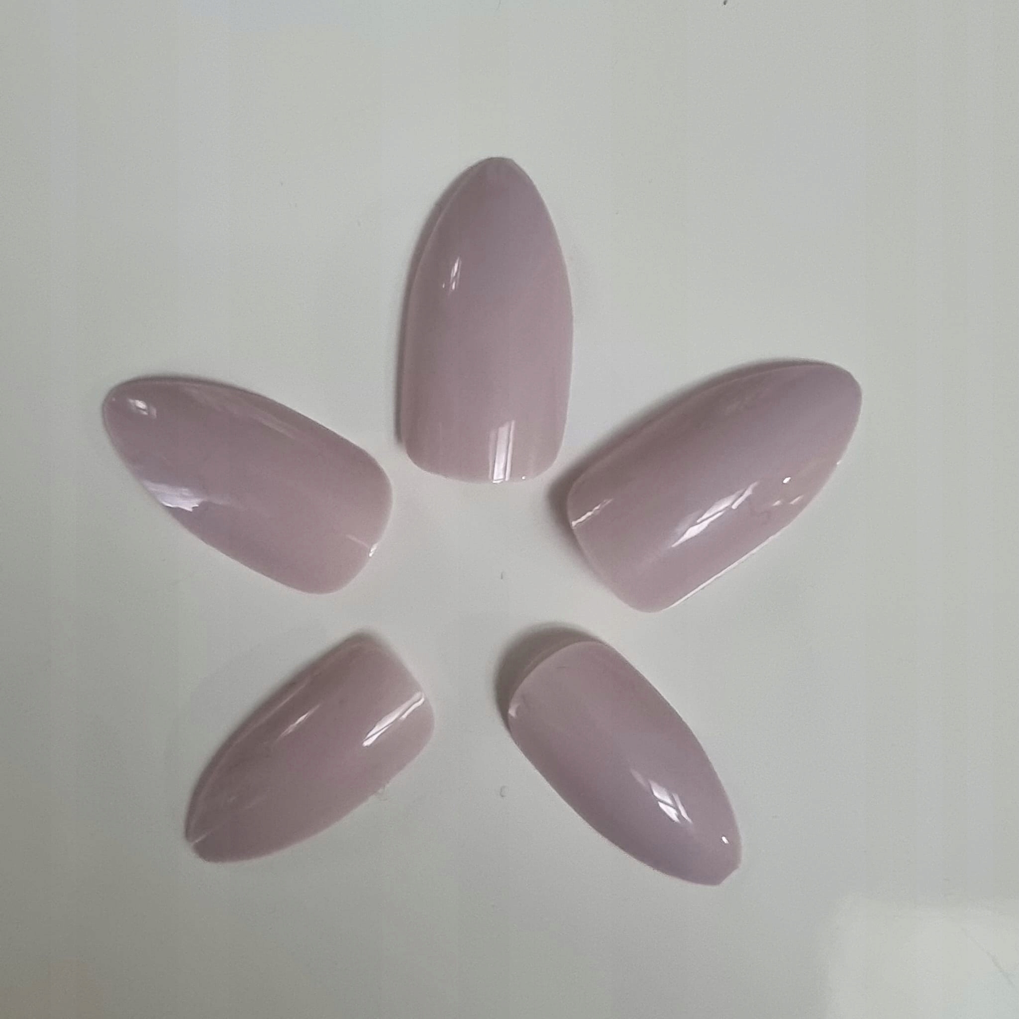 PASDE 6673 TIPSY ŻELOWE LIGHT Kolor Odcienie brązu i beżu Odcienie czerwieni i różu