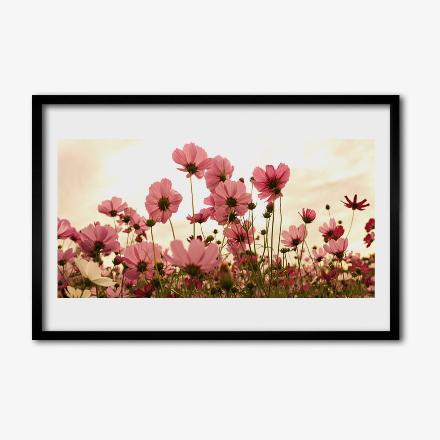 Foto obraz s rámečkem mdf Polní květiny louka 60x40 cm