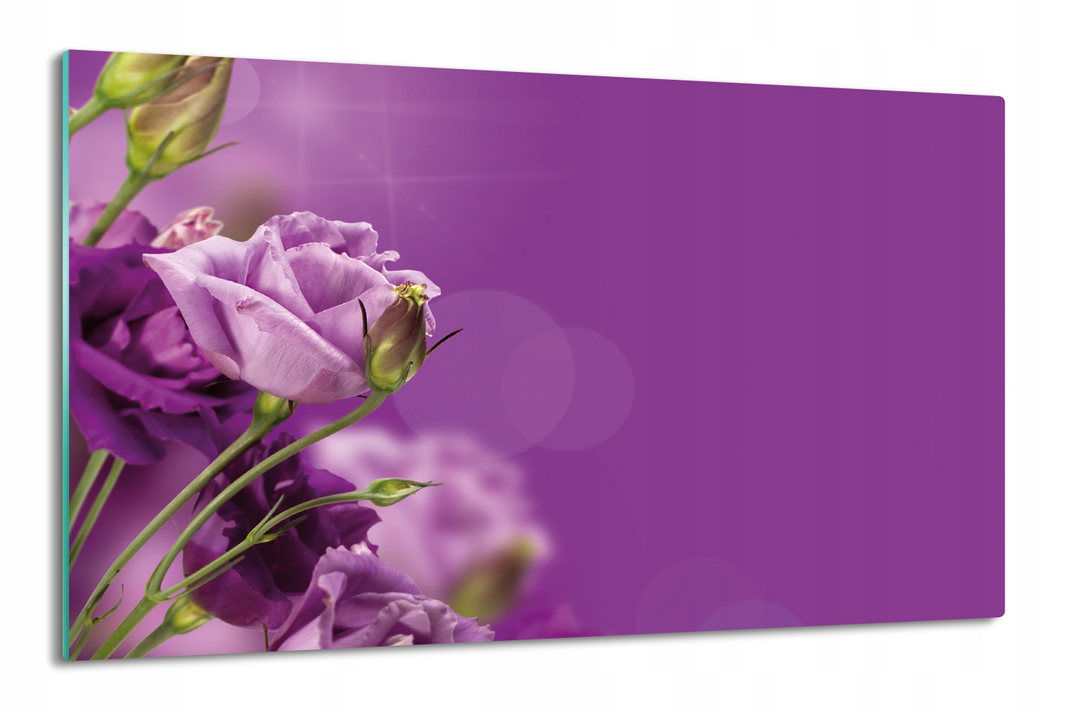 tisk splashback 80x52 s potiskem Fialové květy