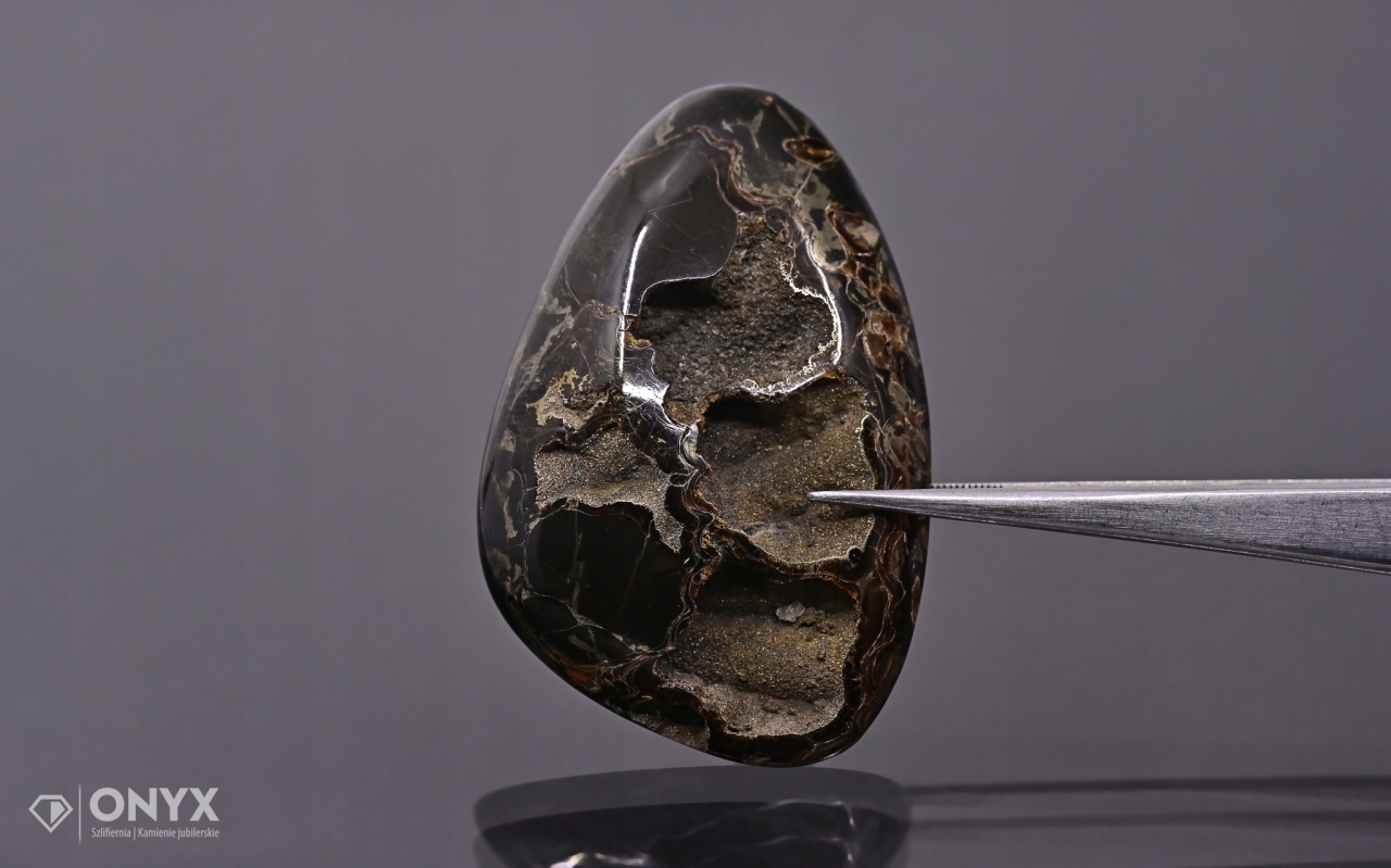 Amonit spiritizovaný nepravidelný 56x36 mm