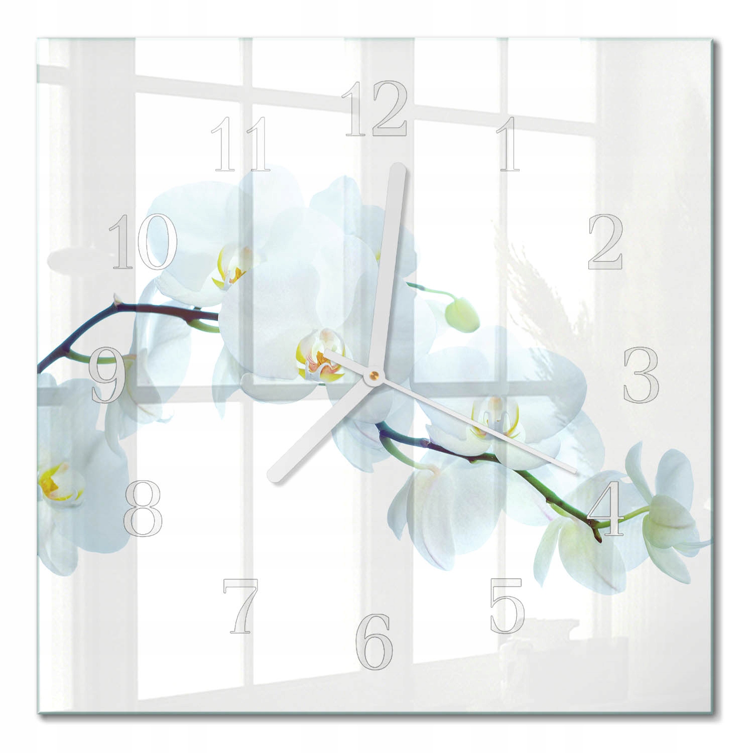 Moderní čtvercové skleněné hodiny na zeď s grafikou Orchidej 30 x 30 cm