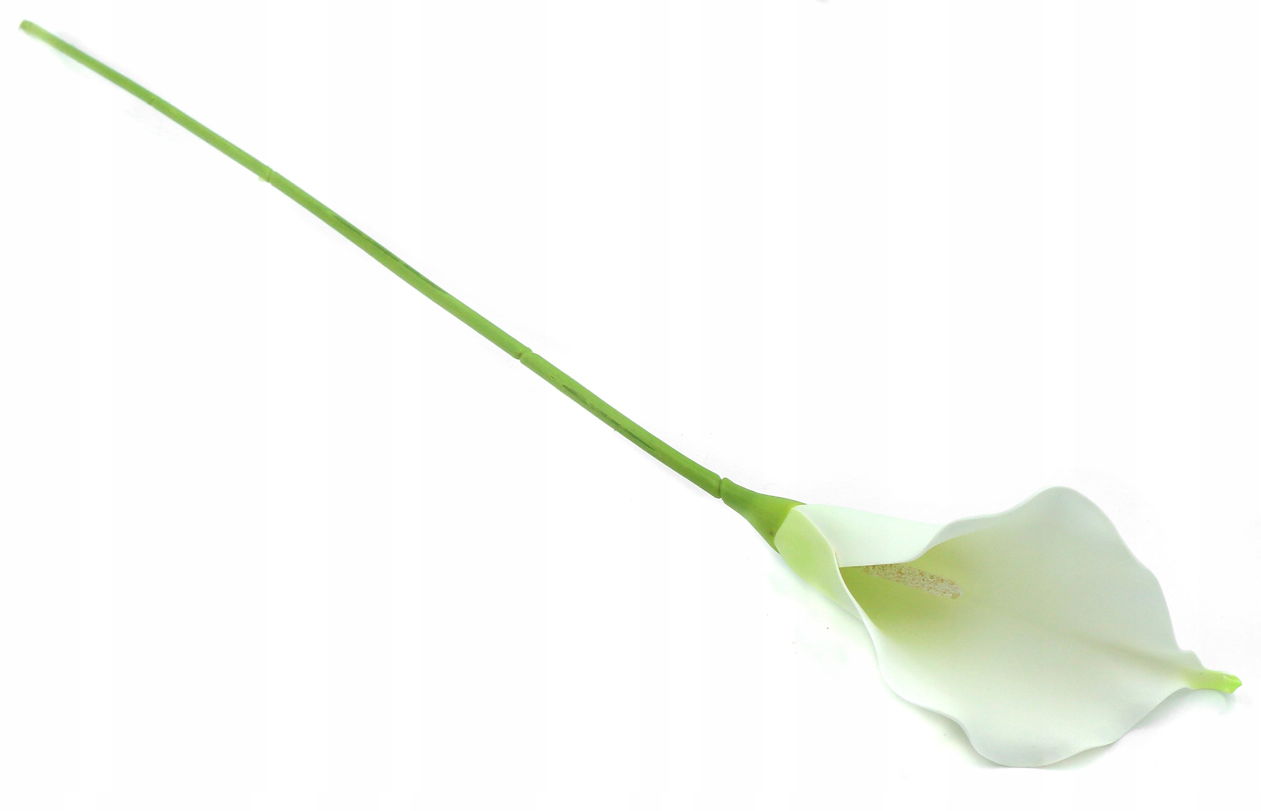 GAŁĄZKA KALIA KALLA BIAŁA PIANKOWA 62cm Kod producenta 884