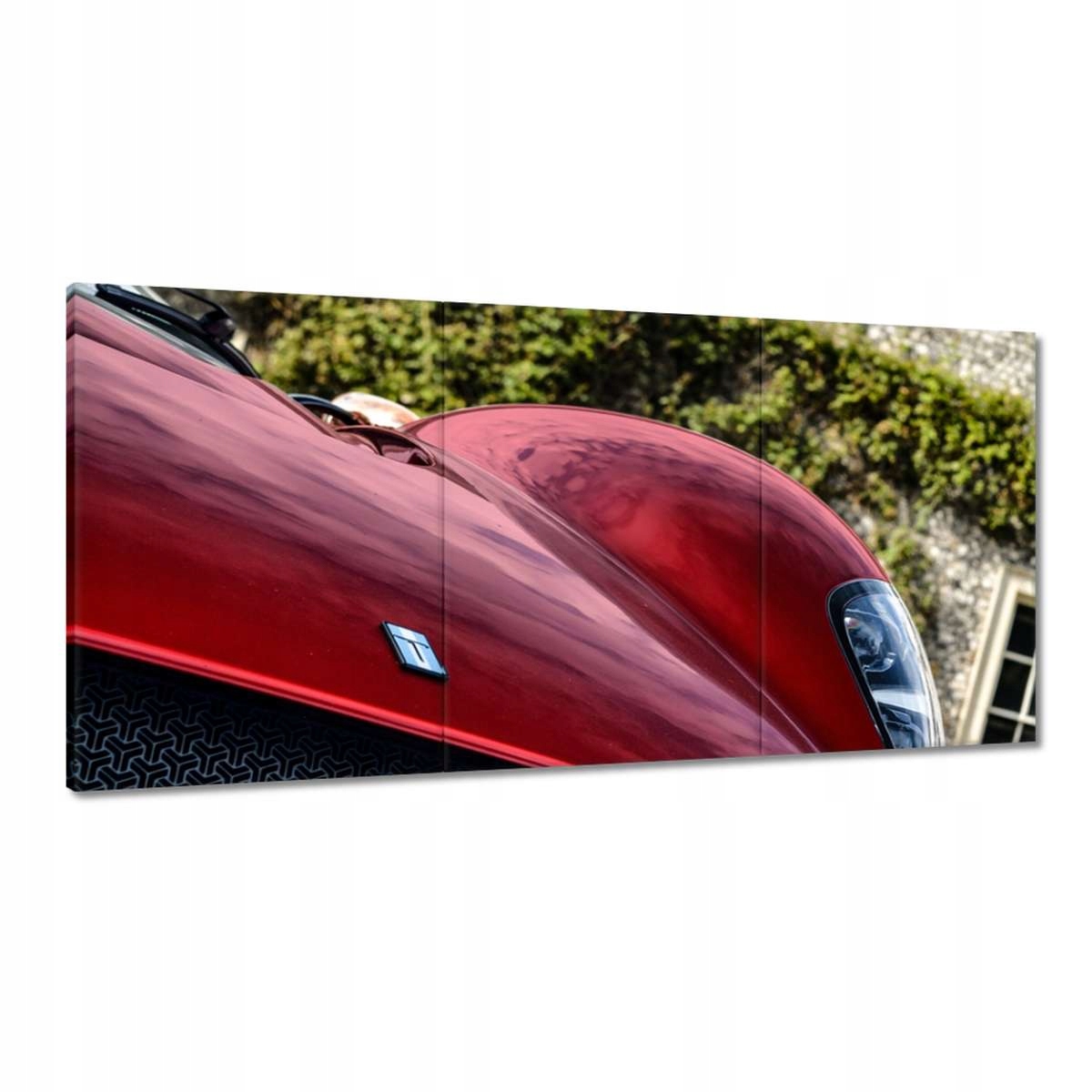 Obrazy 120x60 Detomaso Auto
