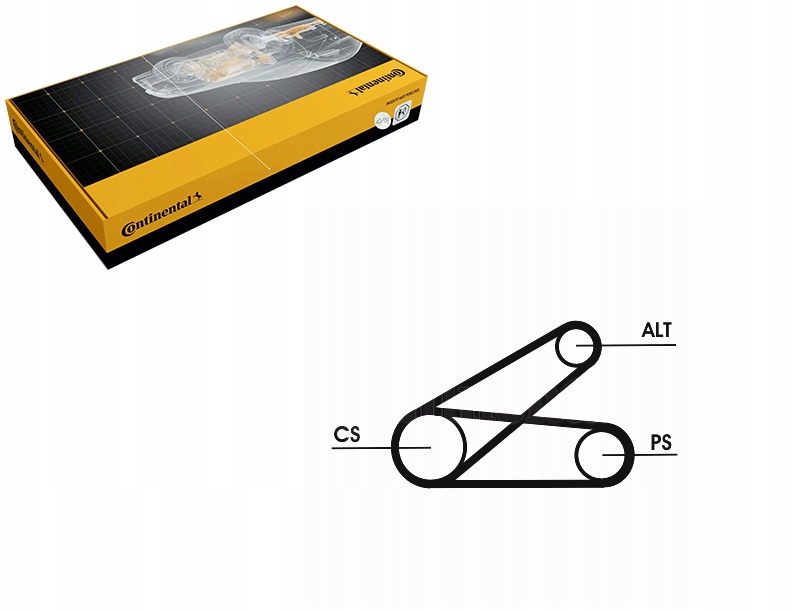 PASEK KLINOWY CITROEN JUMPER FIAT DUCATO FORD TOURNEO CUSTOM V362