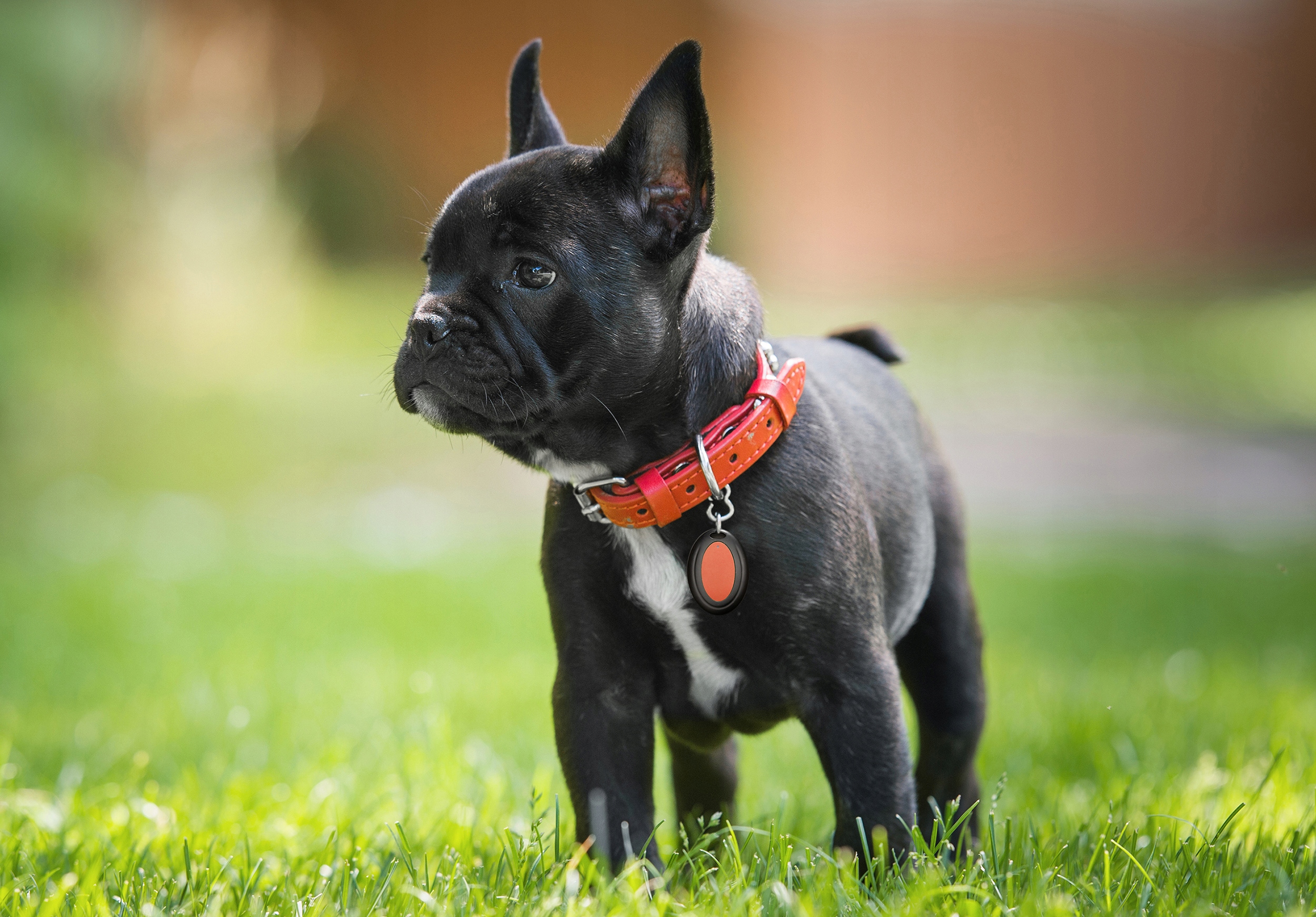 BEZPRZEWODOWY LOKALIZATOR KLUCZY PILOT KLUCZE 6 sz Marka Inny